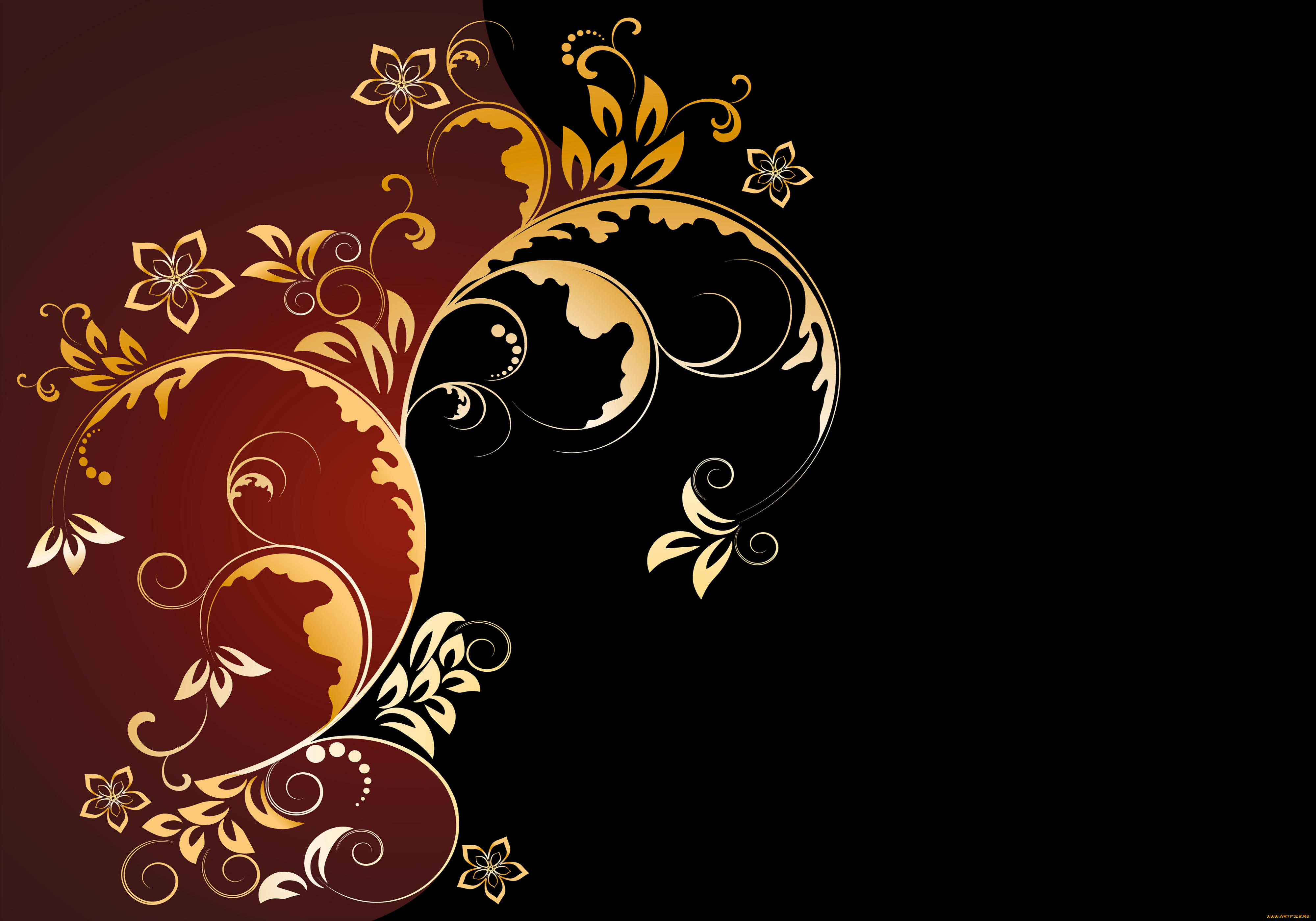 векторная, графика, цветы, , flowers, узор, фон, цвета