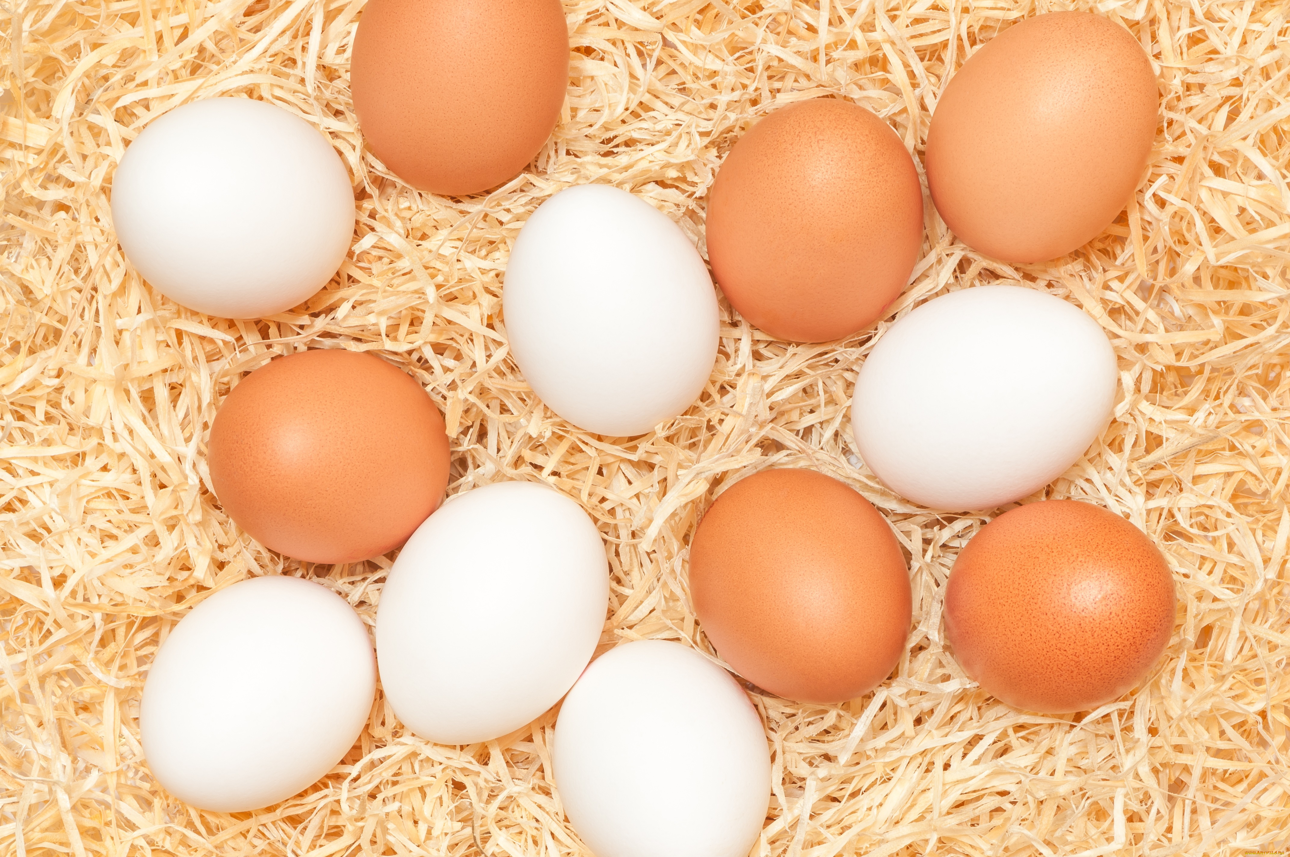 еда, Яйца, яйца