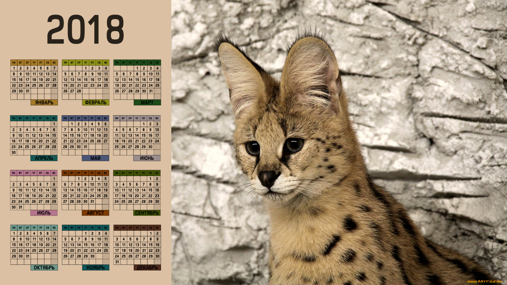 календари, животные, взгляд, морда