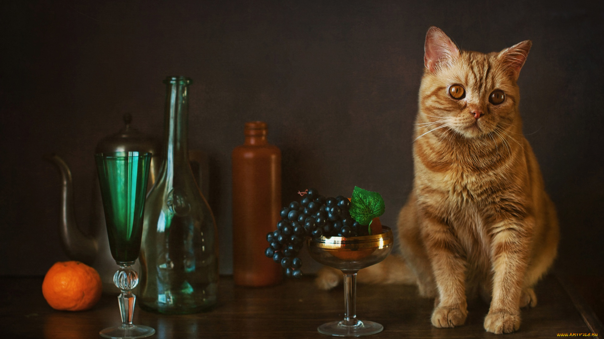 животные, коты, бокал, котейка, виноград, бутылки, рыжий, кот, мандарин