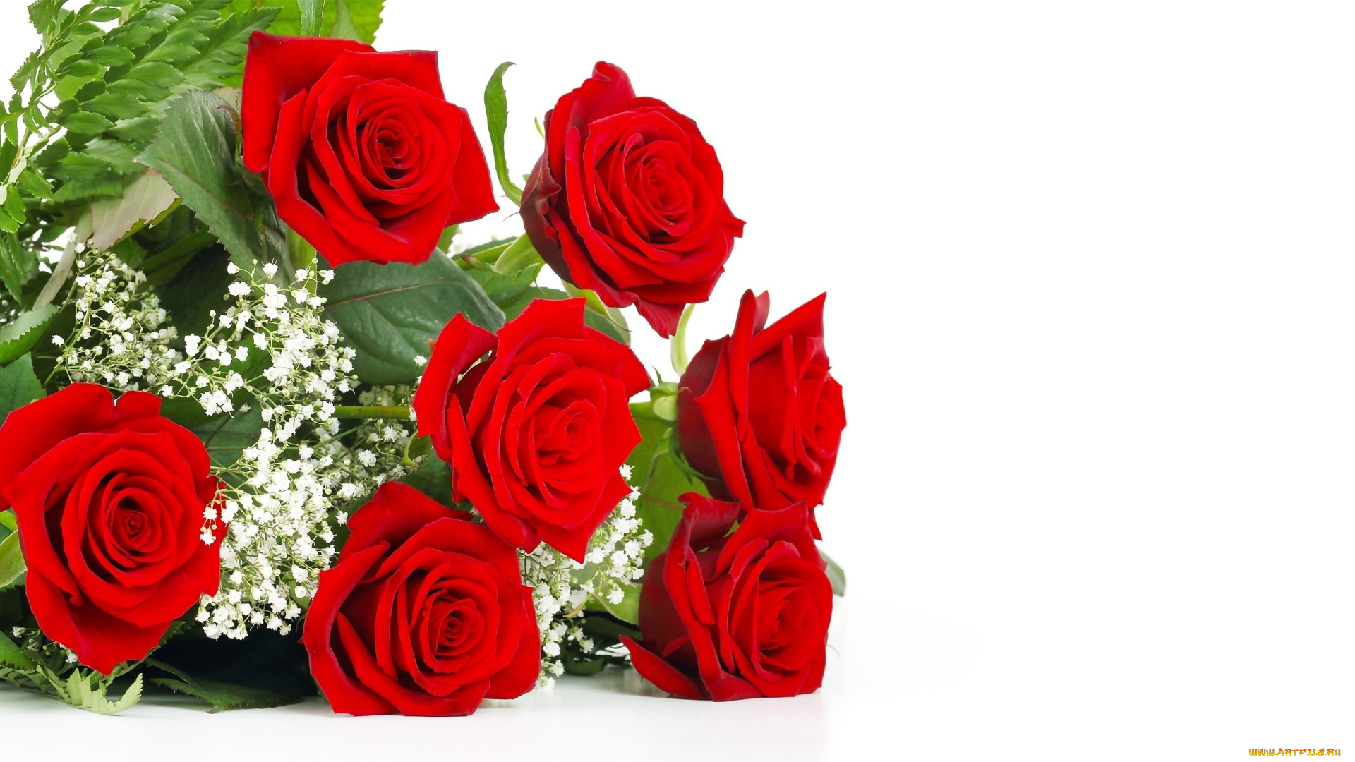 цветы, розы, букет, красные