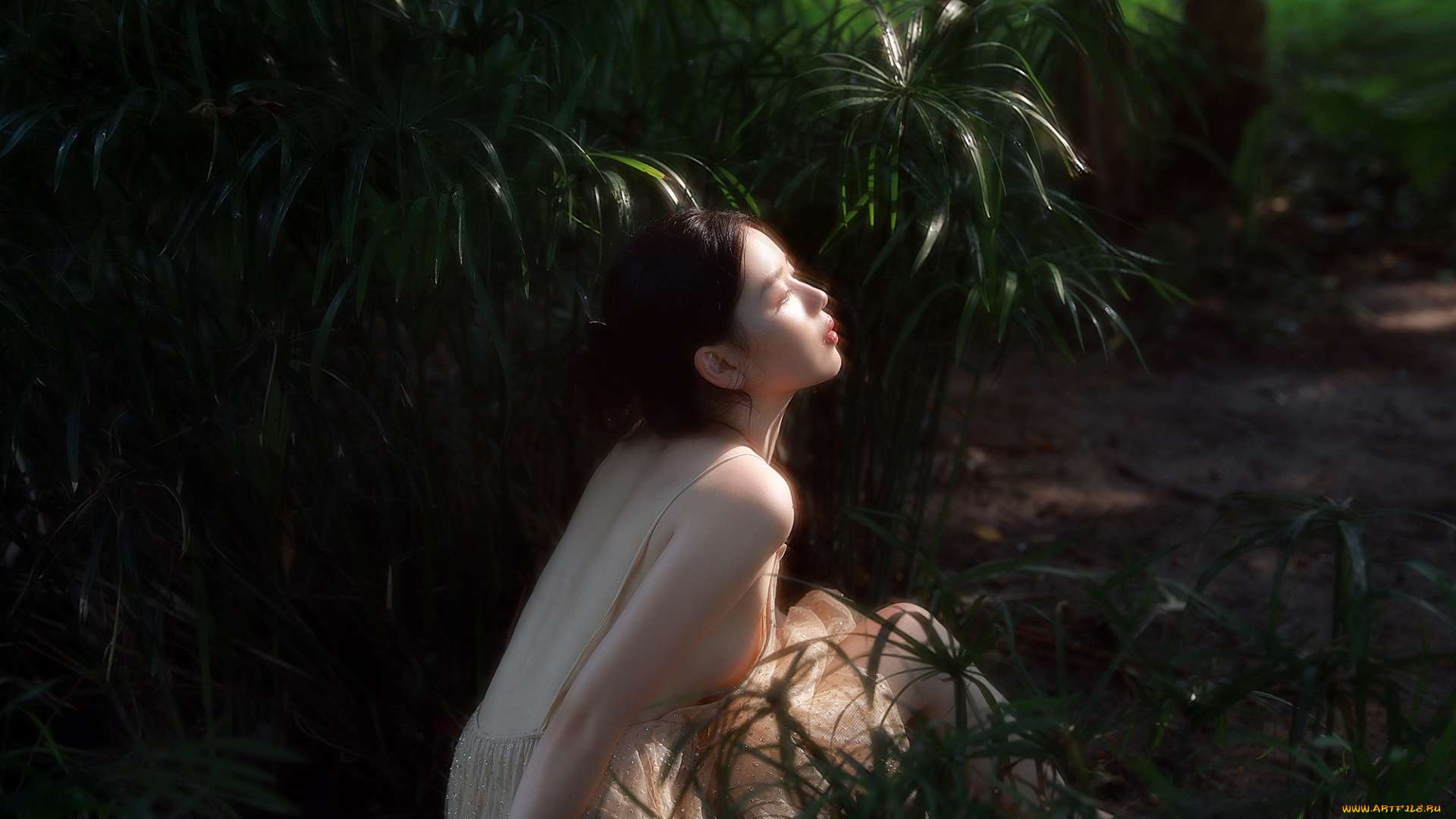 девушки, -, азиатки, платье, заросли