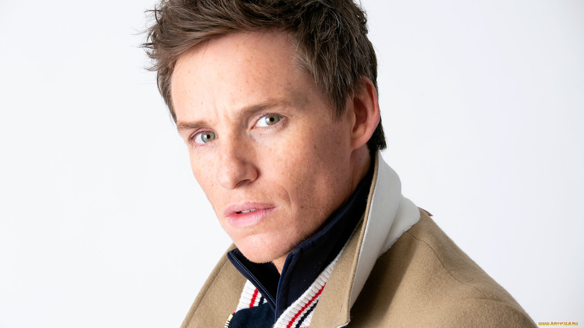 мужчины, eddie, redmayne, актер, лицо