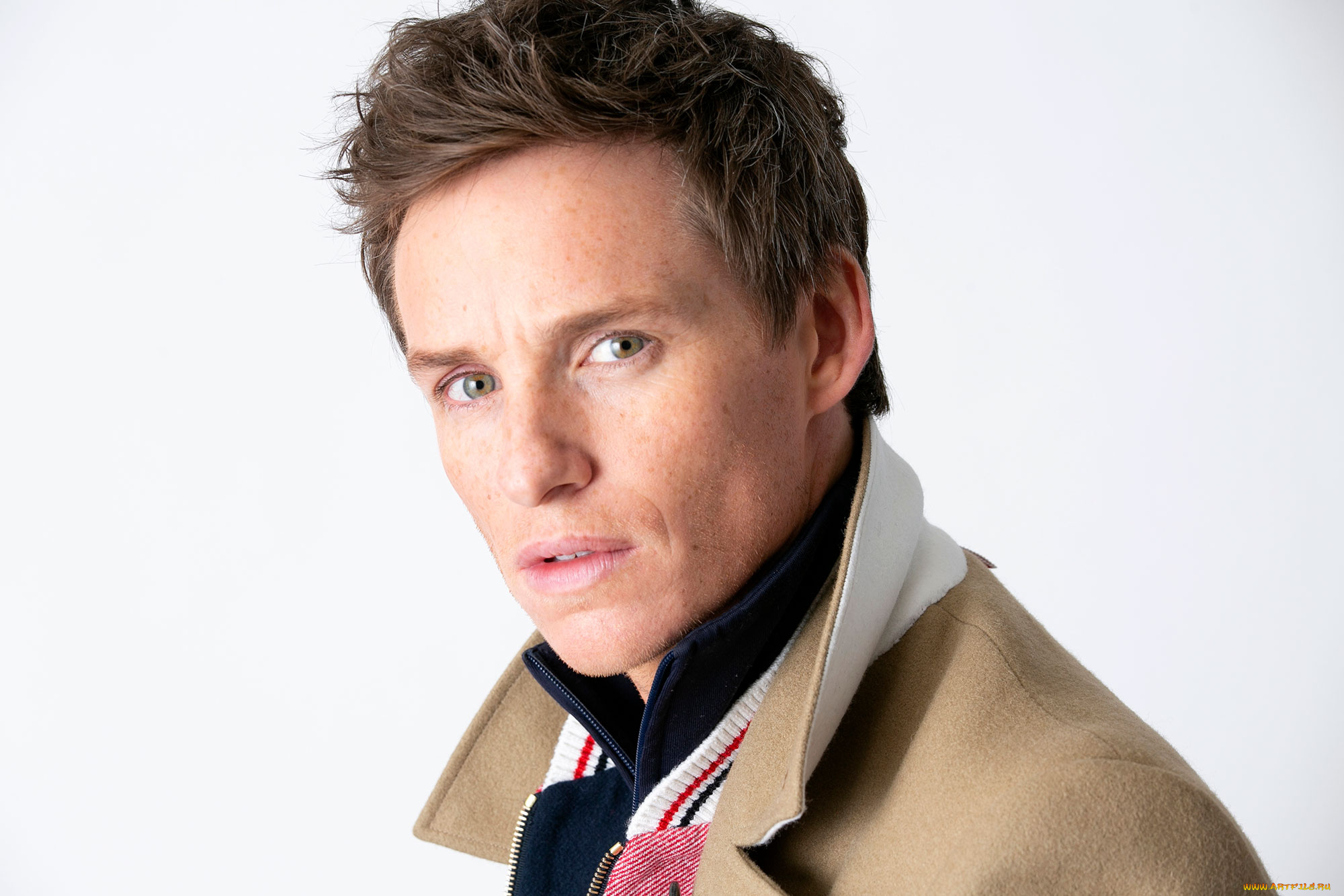 мужчины, eddie, redmayne, актер, лицо