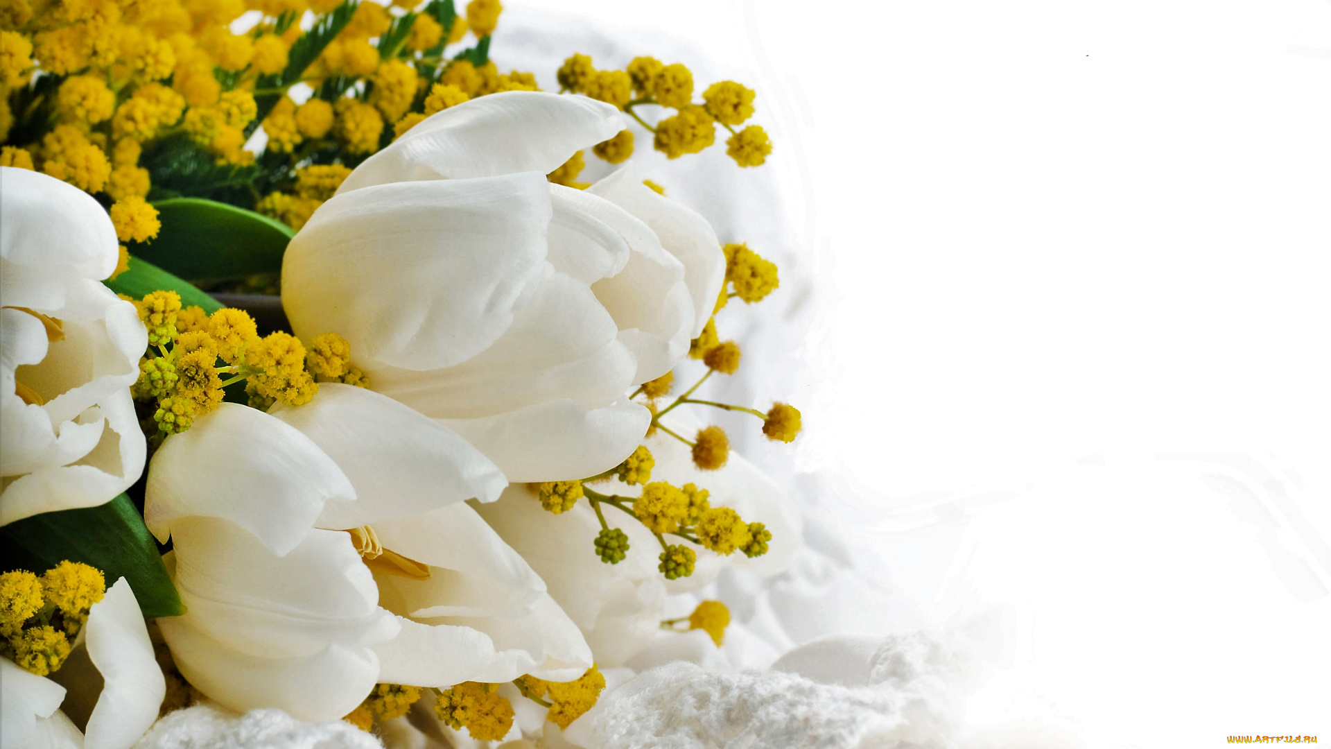 цветы, букеты, , композиции, тюльпаны, мимоза