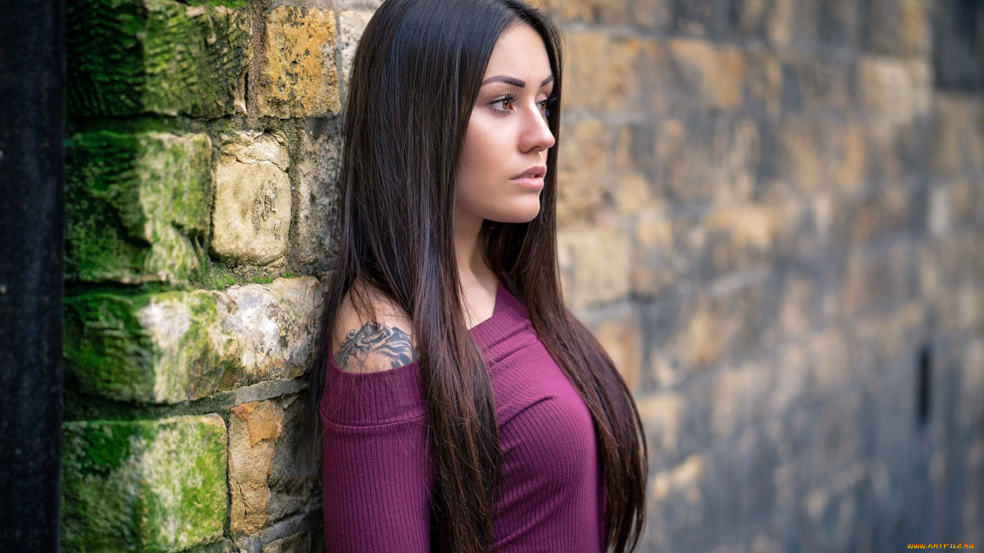 девушки, -, брюнетки, , шатенки, брюнетка, тату, свитер