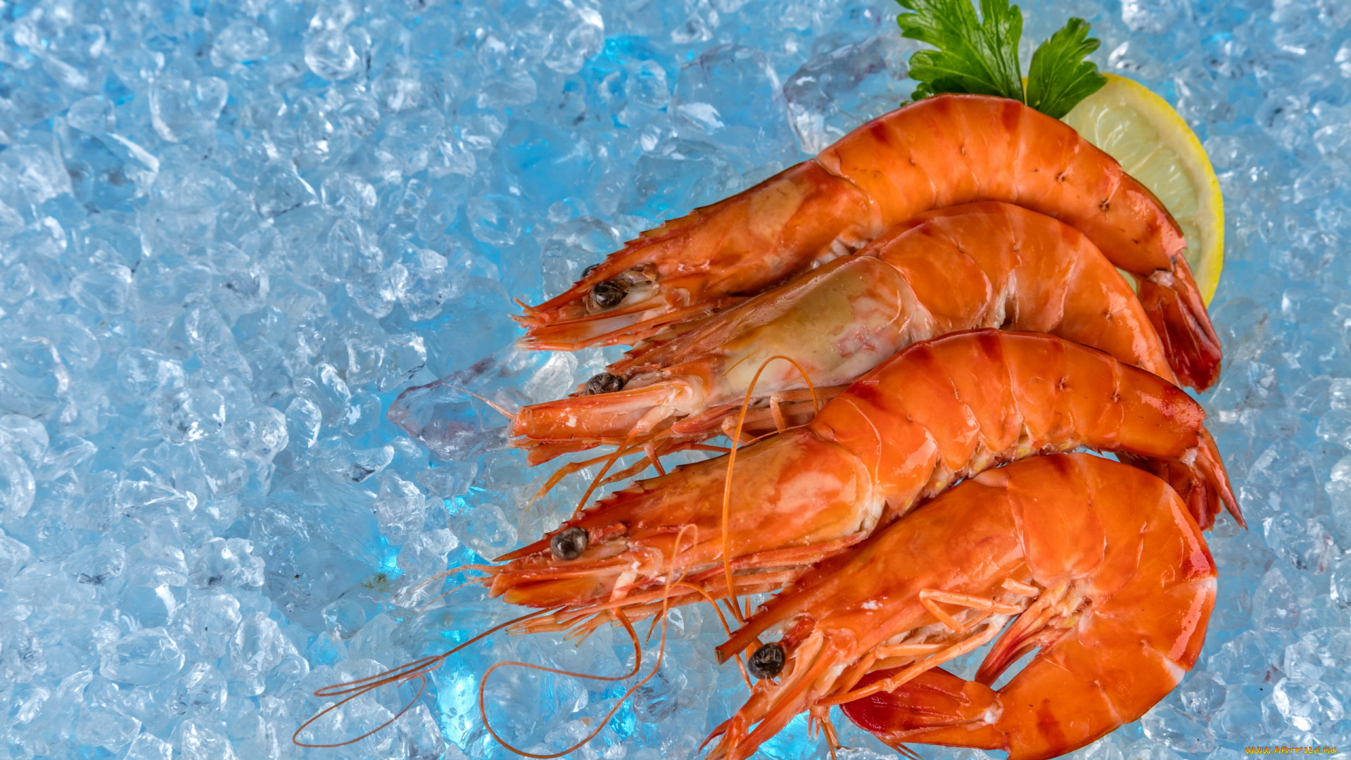 еда, рыбные, блюда, , с, морепродуктами, креветки, лед, лимон