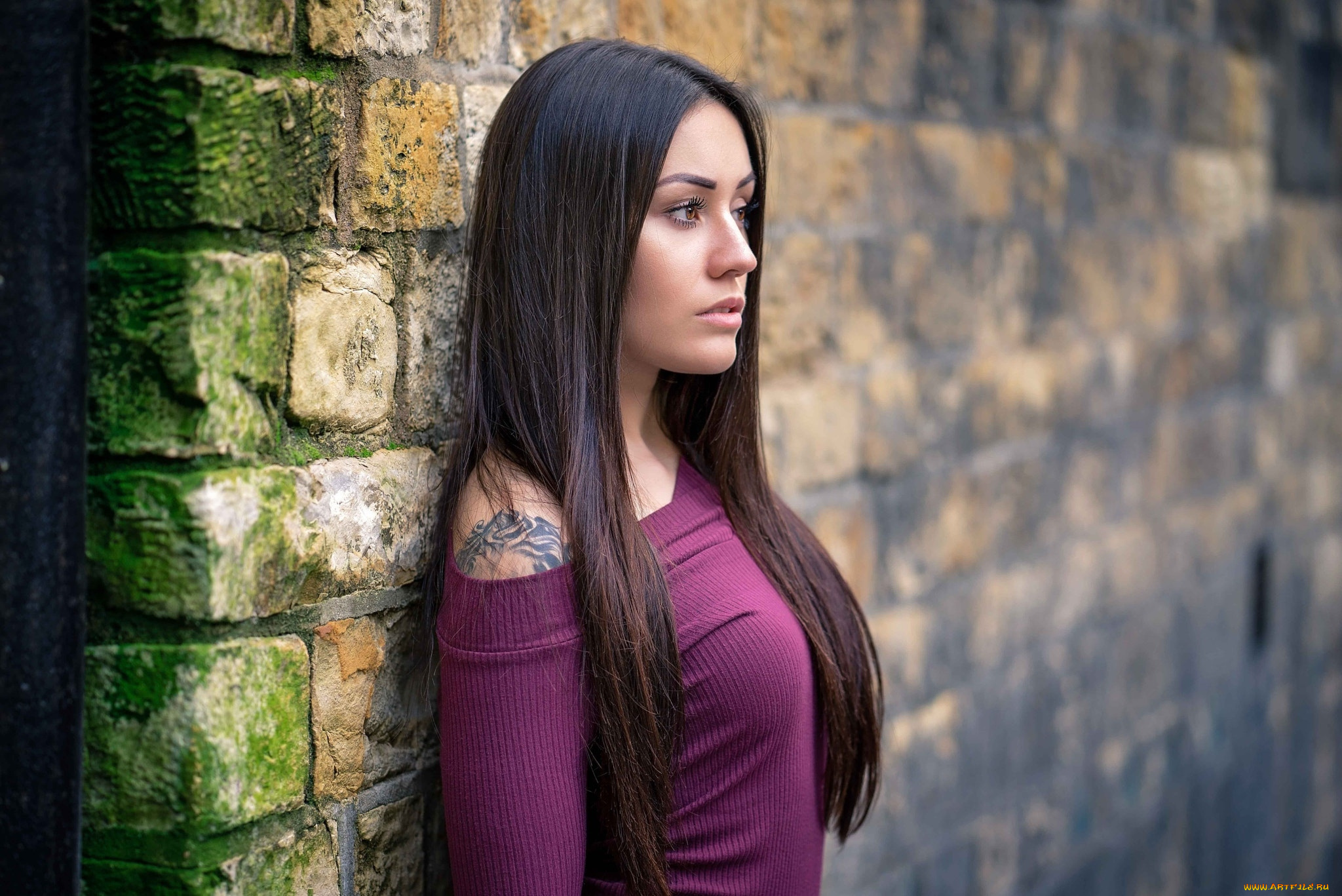 девушки, -, брюнетки, , шатенки, брюнетка, тату, свитер