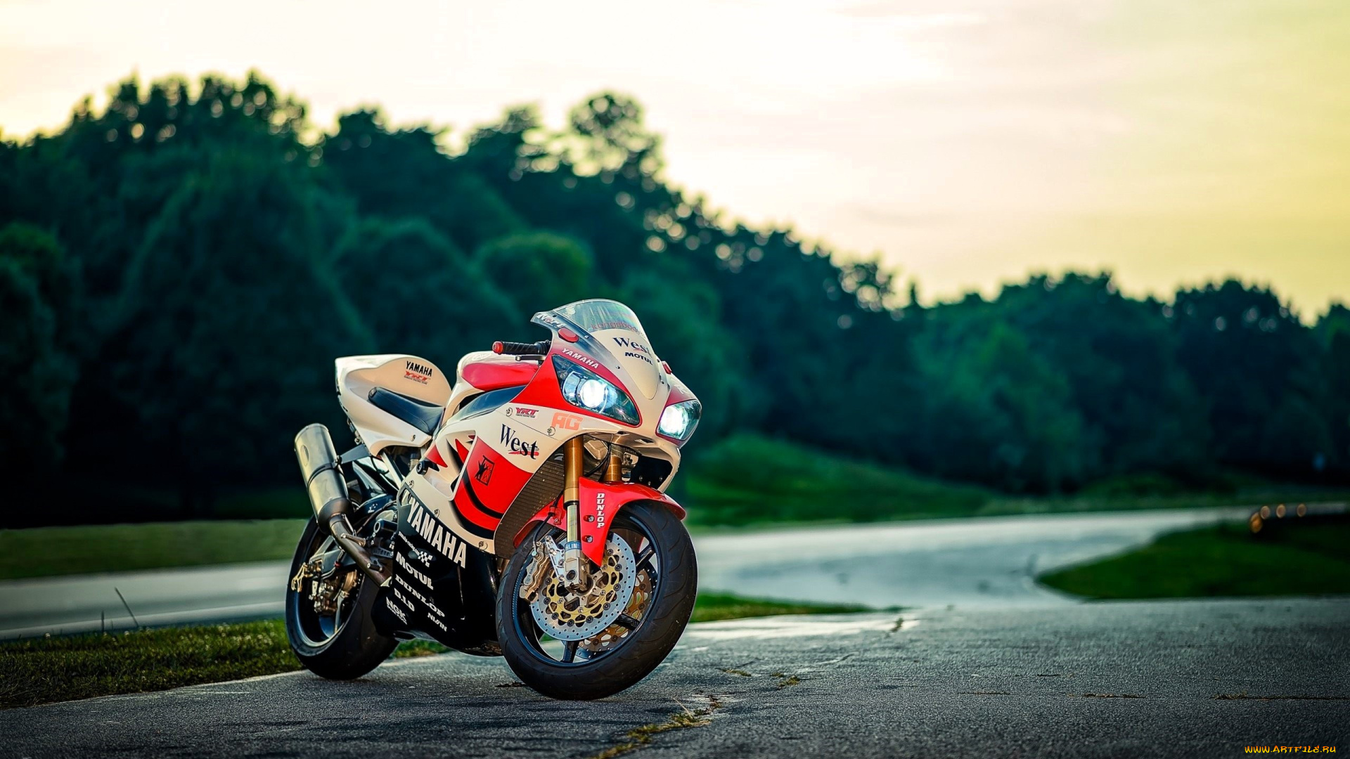 мотоциклы, yamaha, мотоцикл, дорога, роща