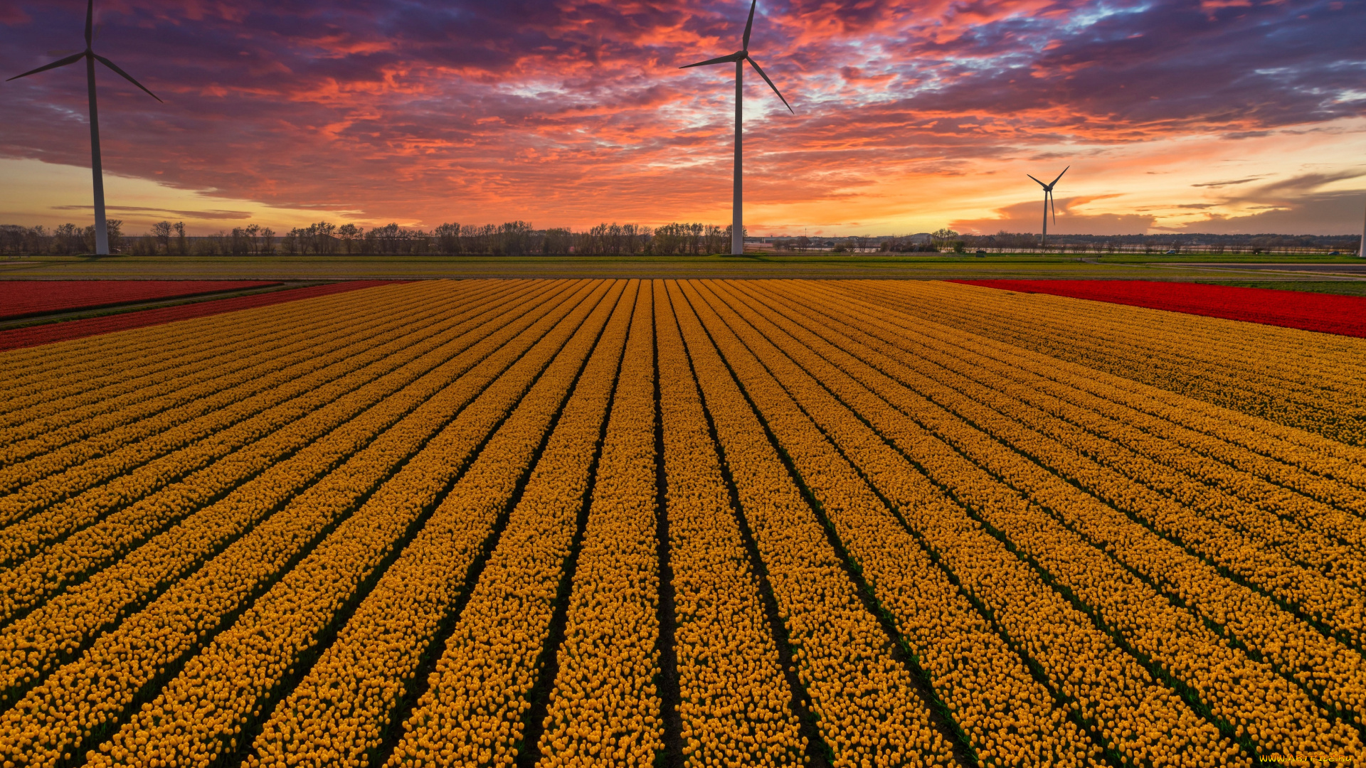 разное, ветрогенераторы, поле