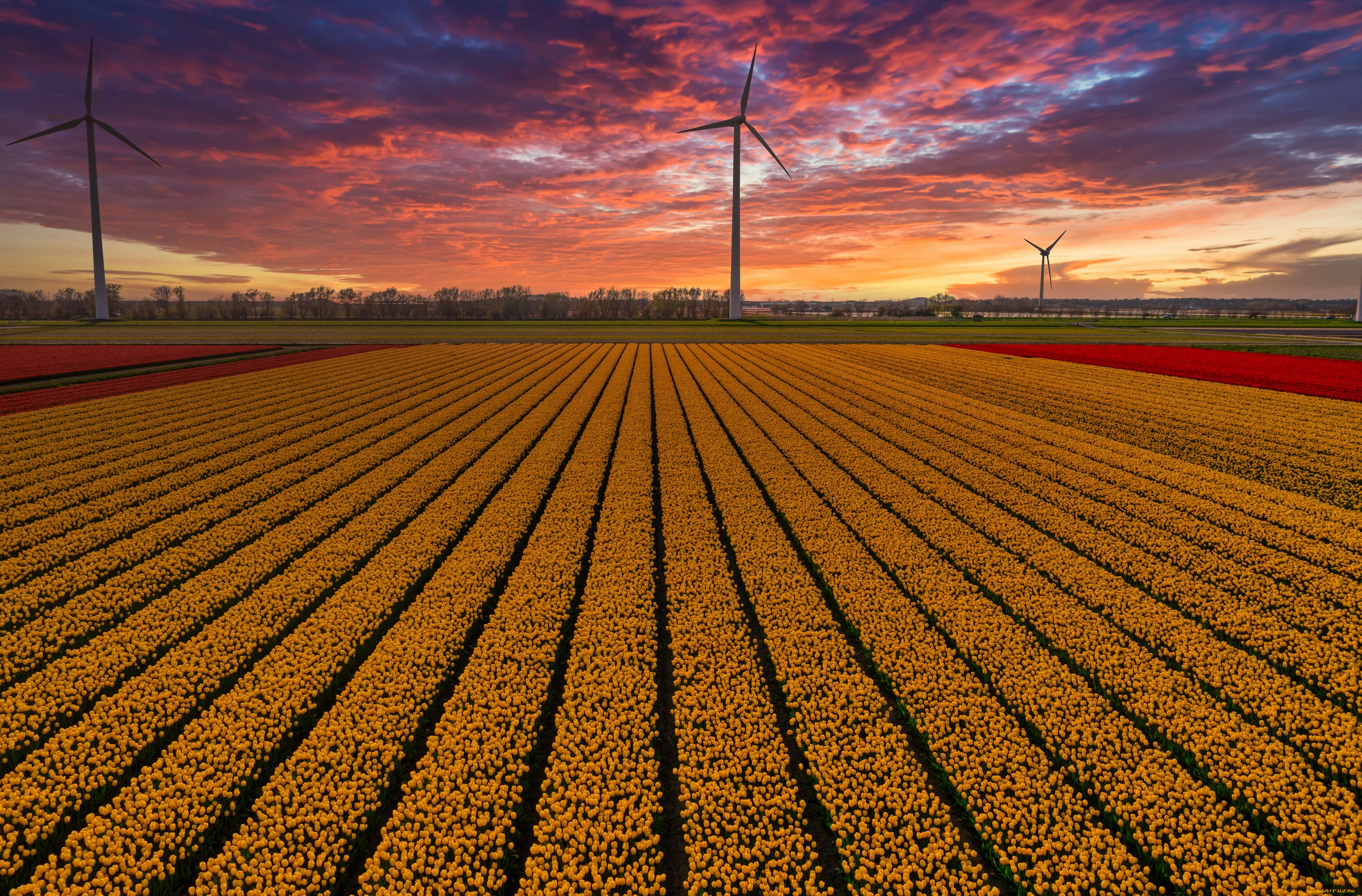 разное, ветрогенераторы, поле
