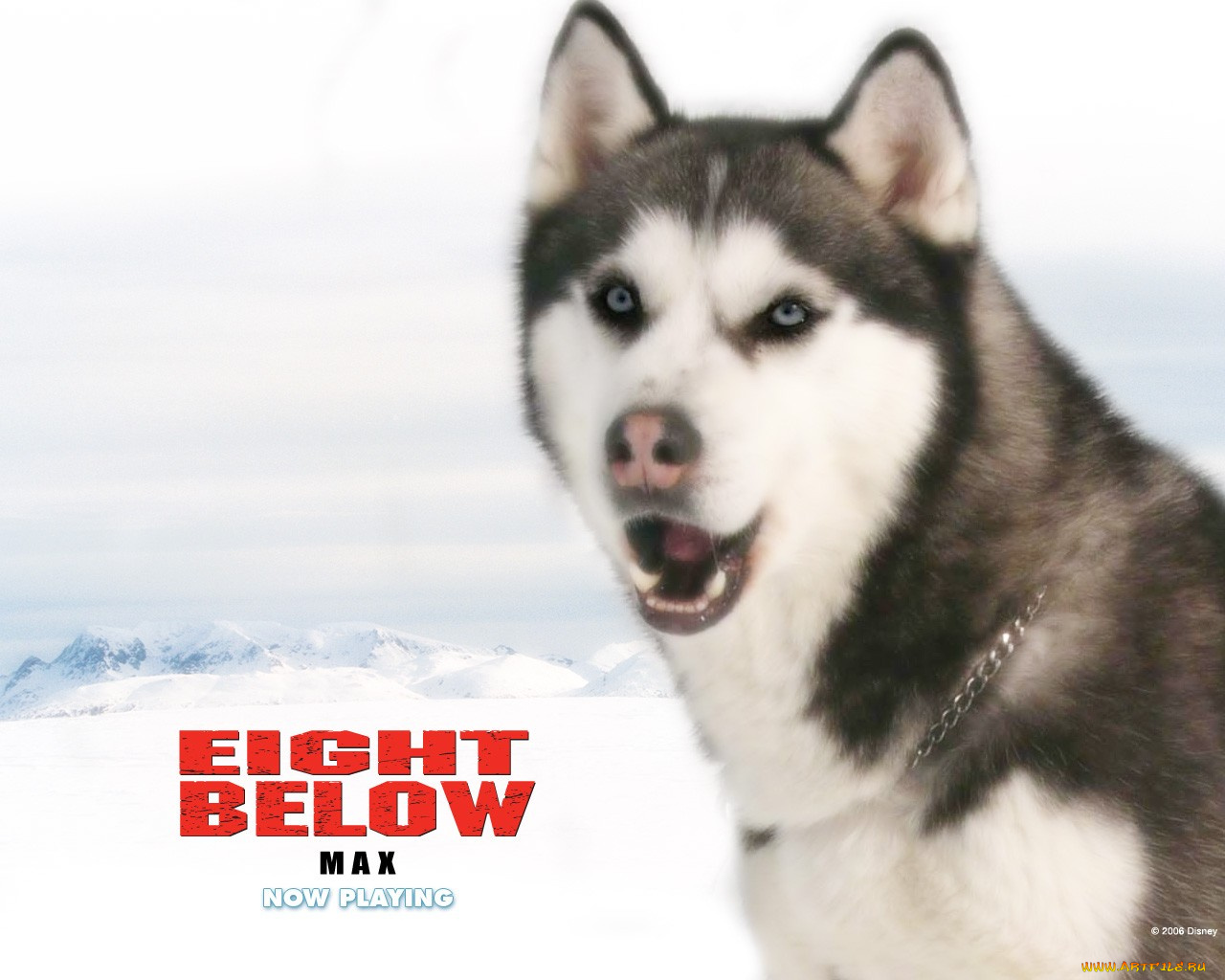 кино, фильмы, eight, below