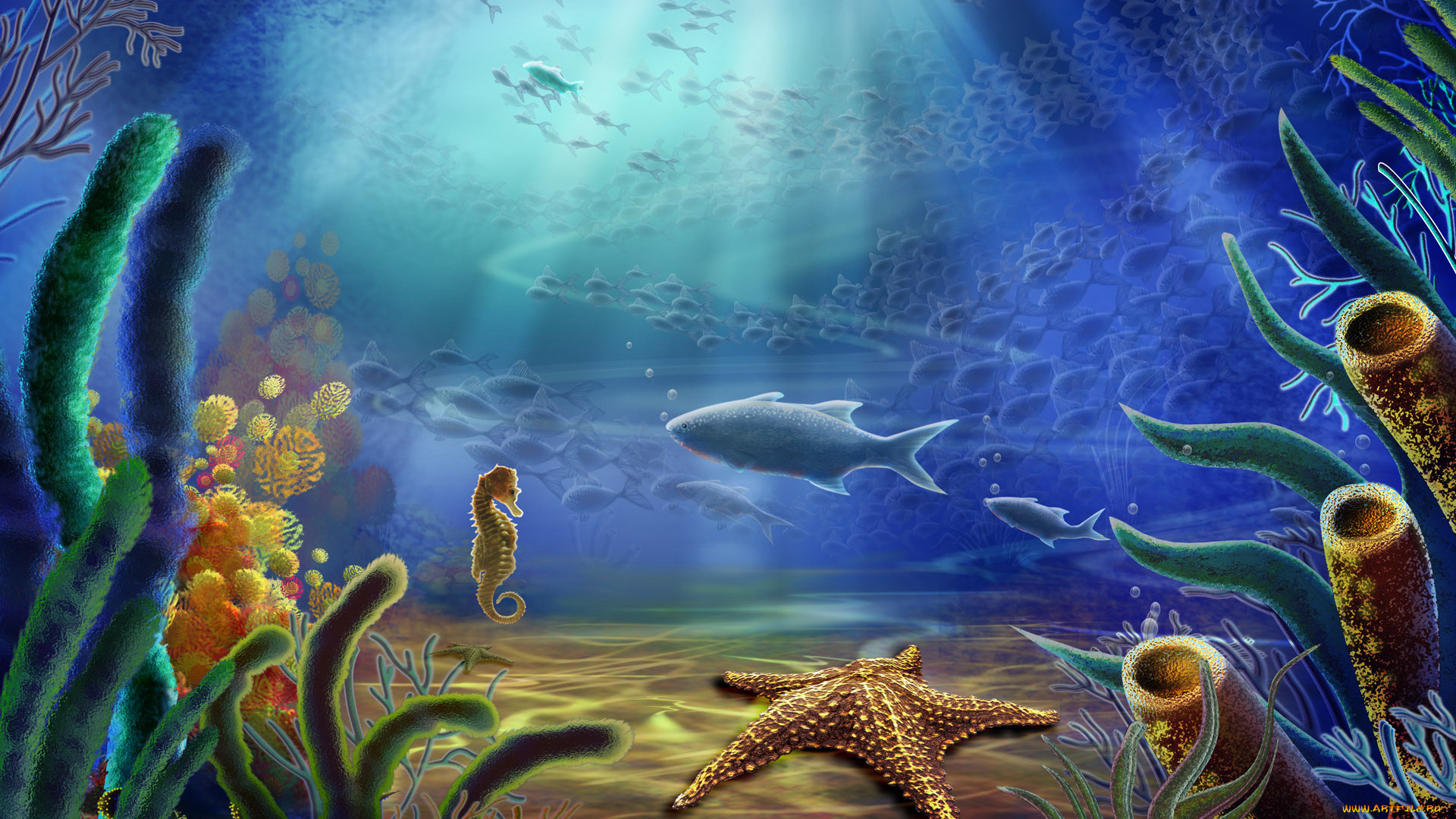 рисованные, животные, морская, фауна