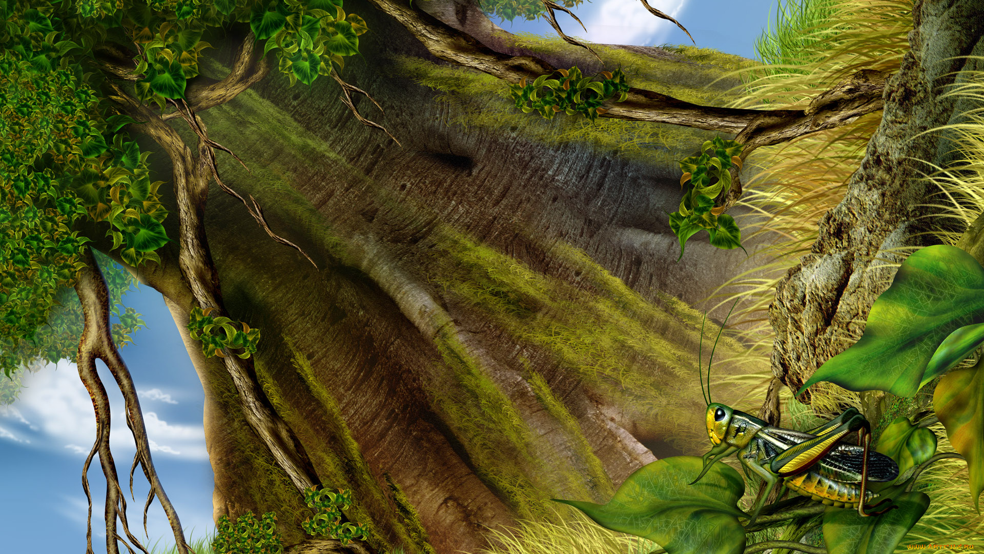 рисованные, животные, насекомые