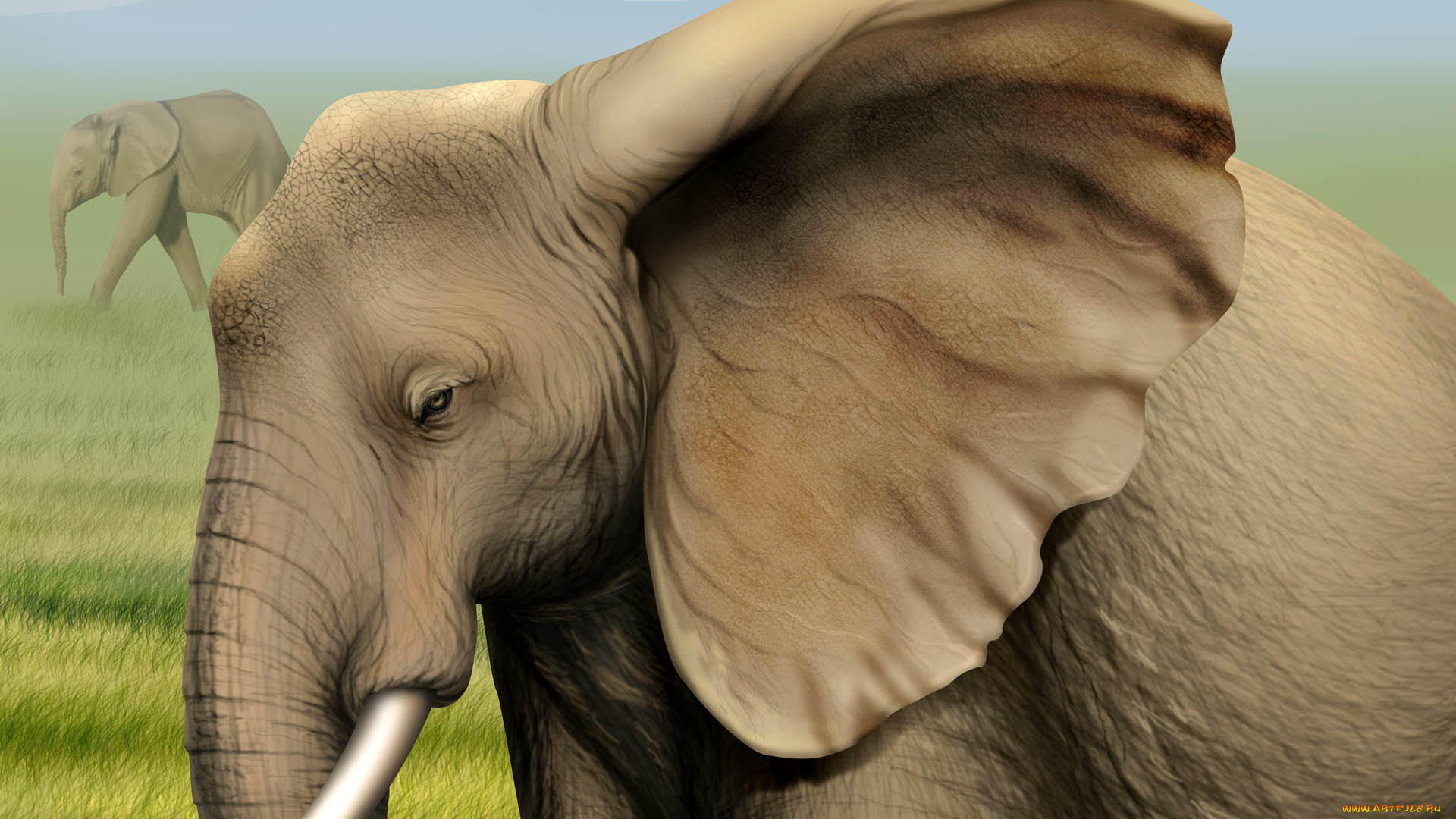 рисованные, животные, слоны