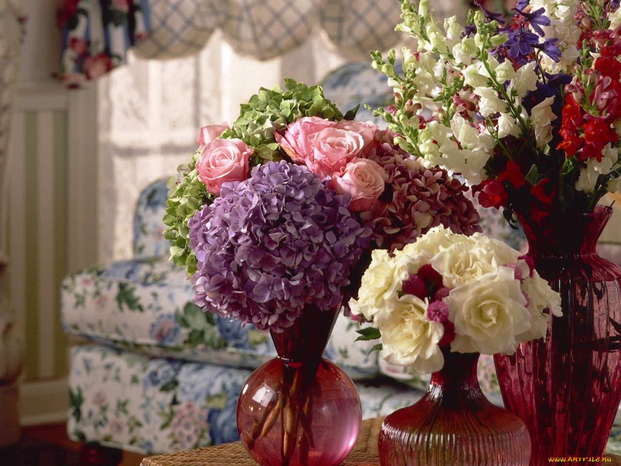 цветы, букеты, композиции