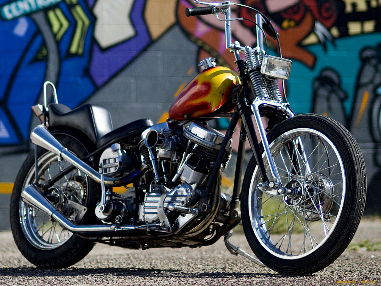 мотоциклы, customs