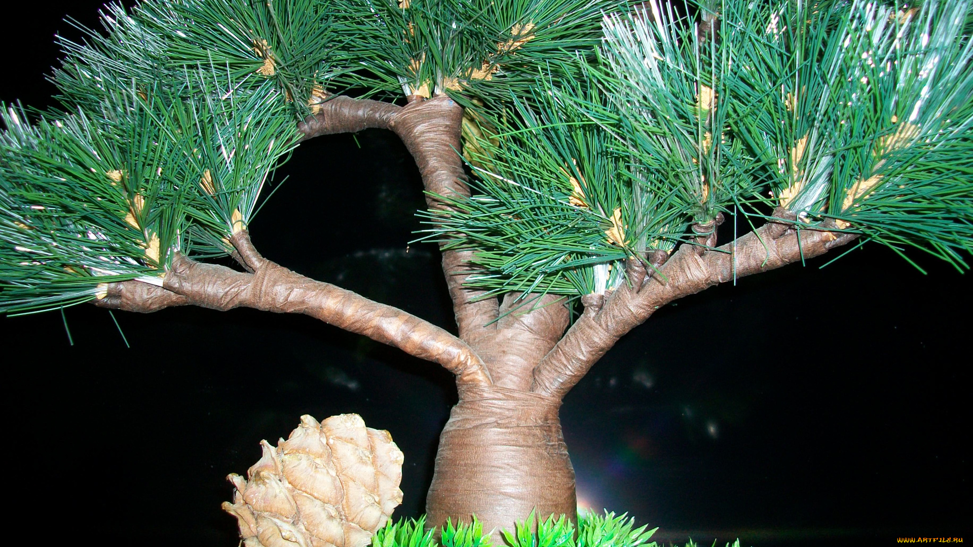 автор, тараненко, природа, деревья