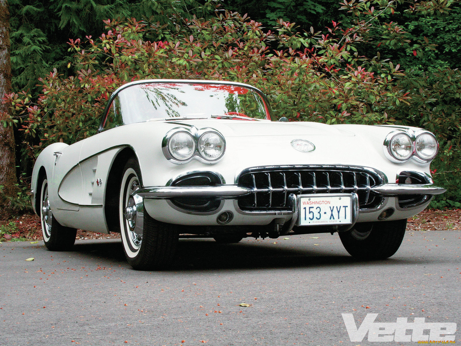 автомобили, corvette, auto