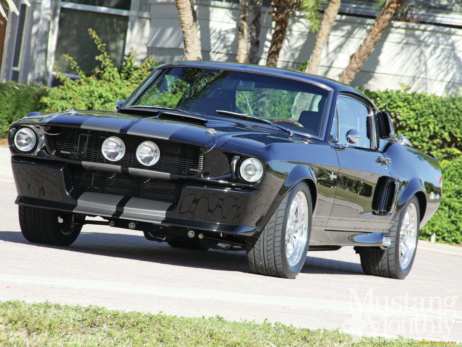 автомобили, mustang, custom