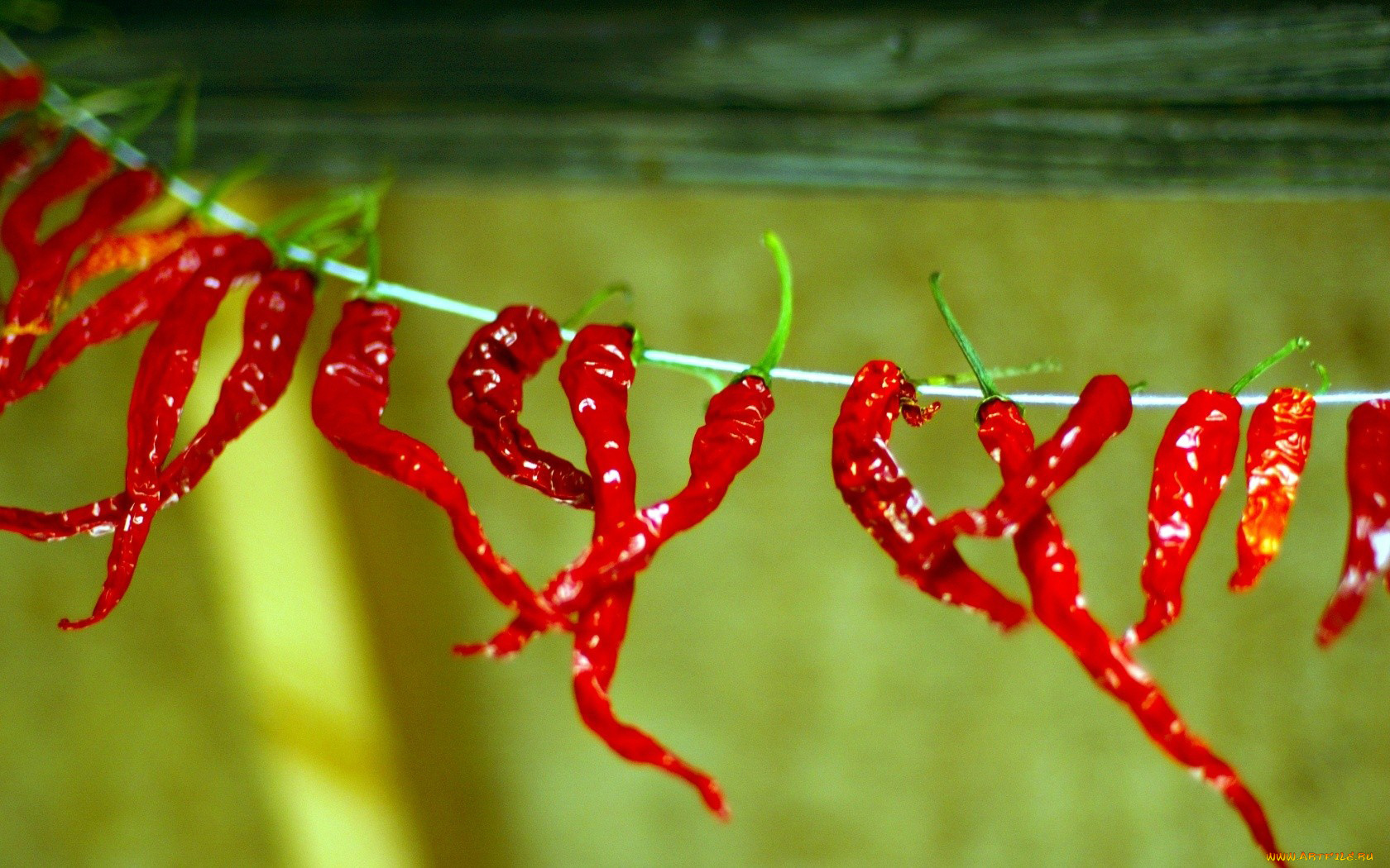 еда, перец, красный, острый