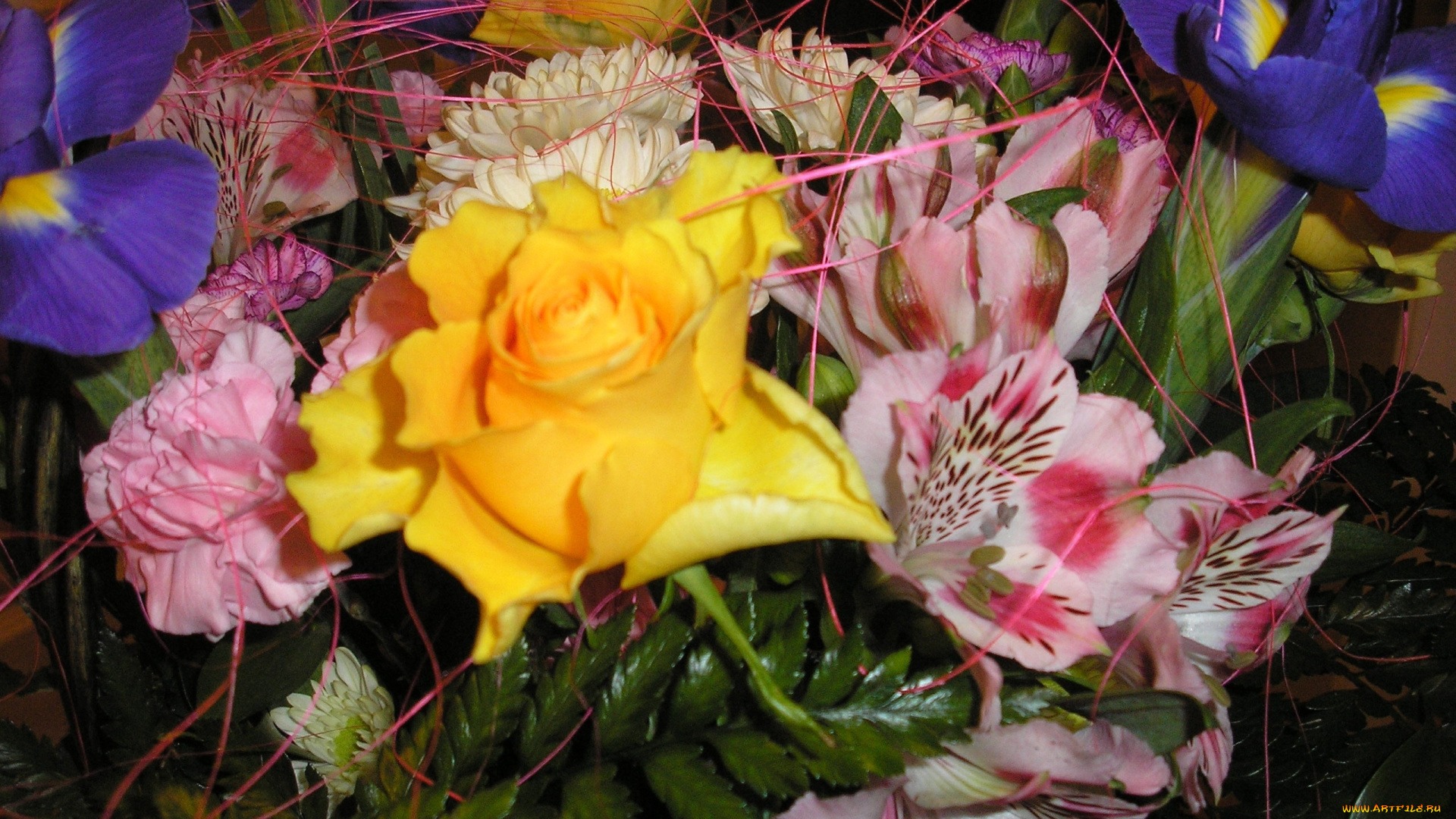 цветы, разные, вместе, гвоздика, роза, альстромерия, ирисы