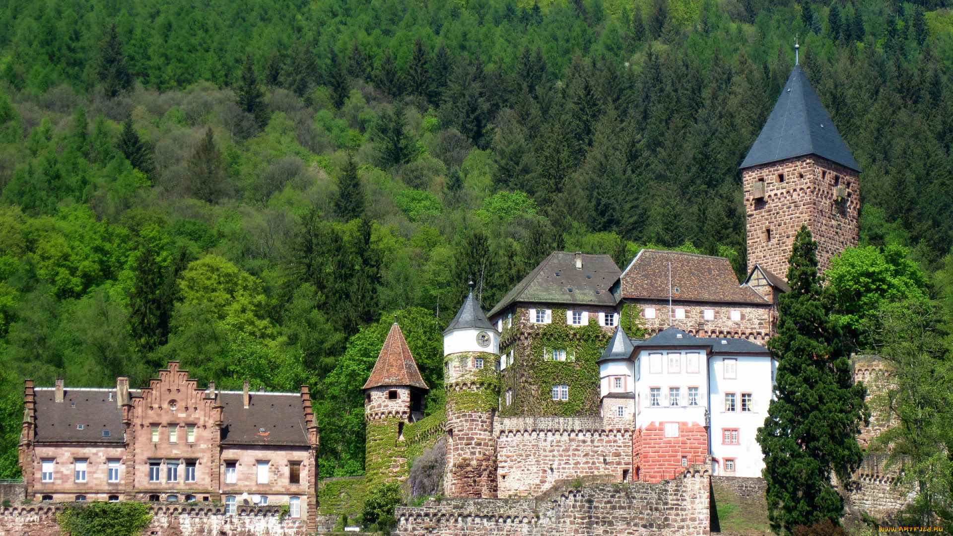 города, дворцы, замки, крепости, germany, zwingenberg