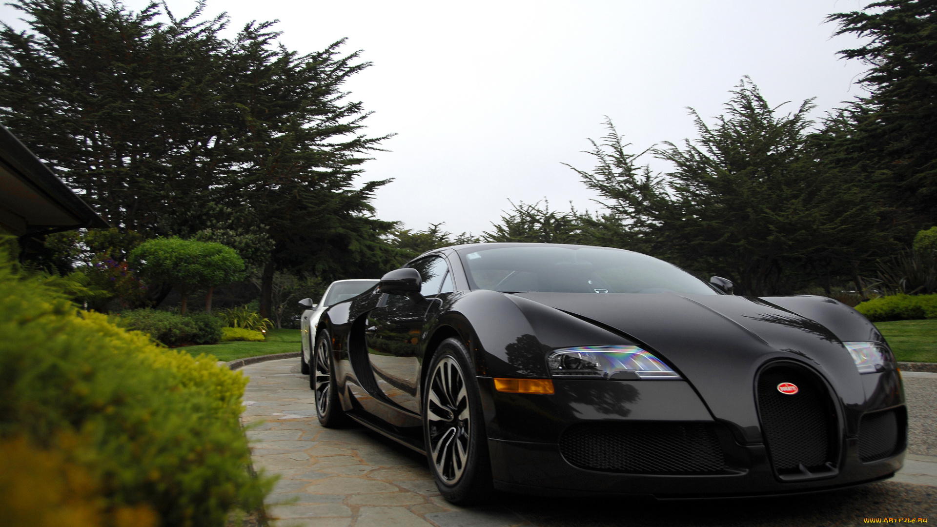 bugatti, veyron, автомобили, парк