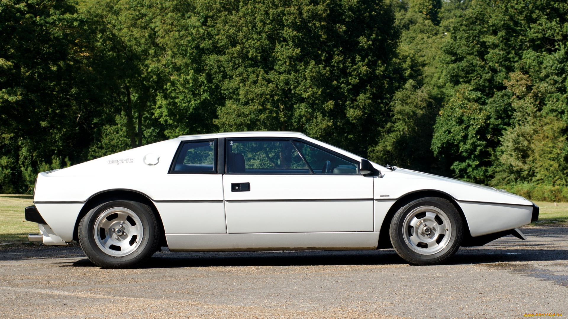 lotus, esprit, автомобили, великобритания, гоночный, спортивный, engineering, ltd