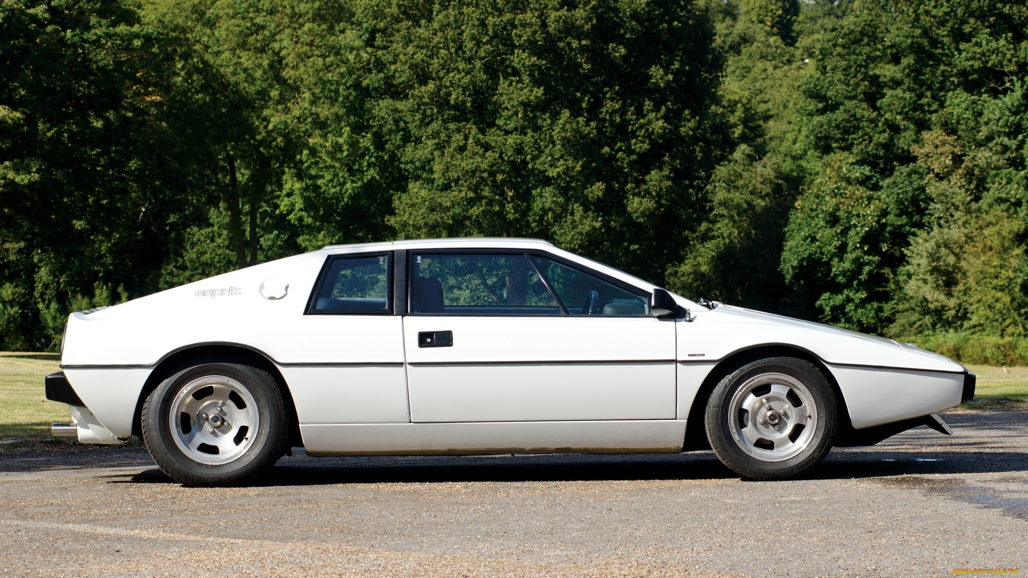 lotus, esprit, автомобили, великобритания, гоночный, спортивный, engineering, ltd