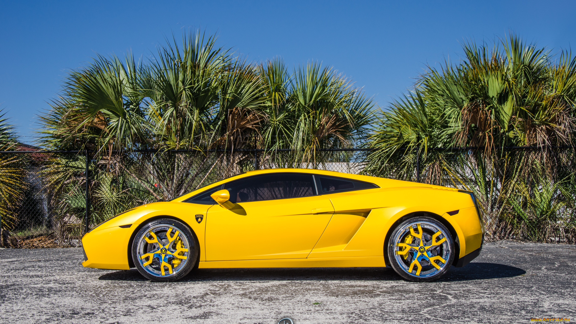 автомобили, lamborghini