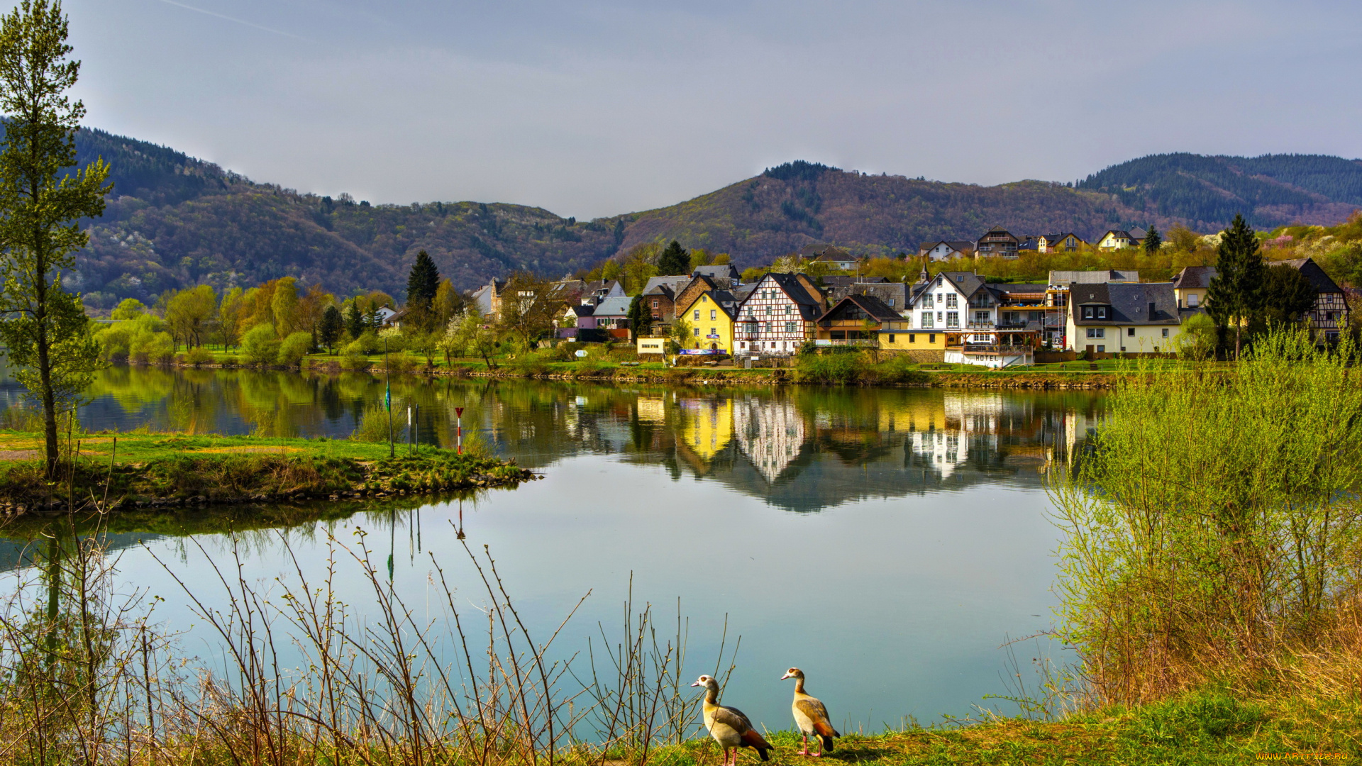 зенхайм, германия, города, -, пейзажи, трава, река, дома, пейзаж, зенхайм, германия