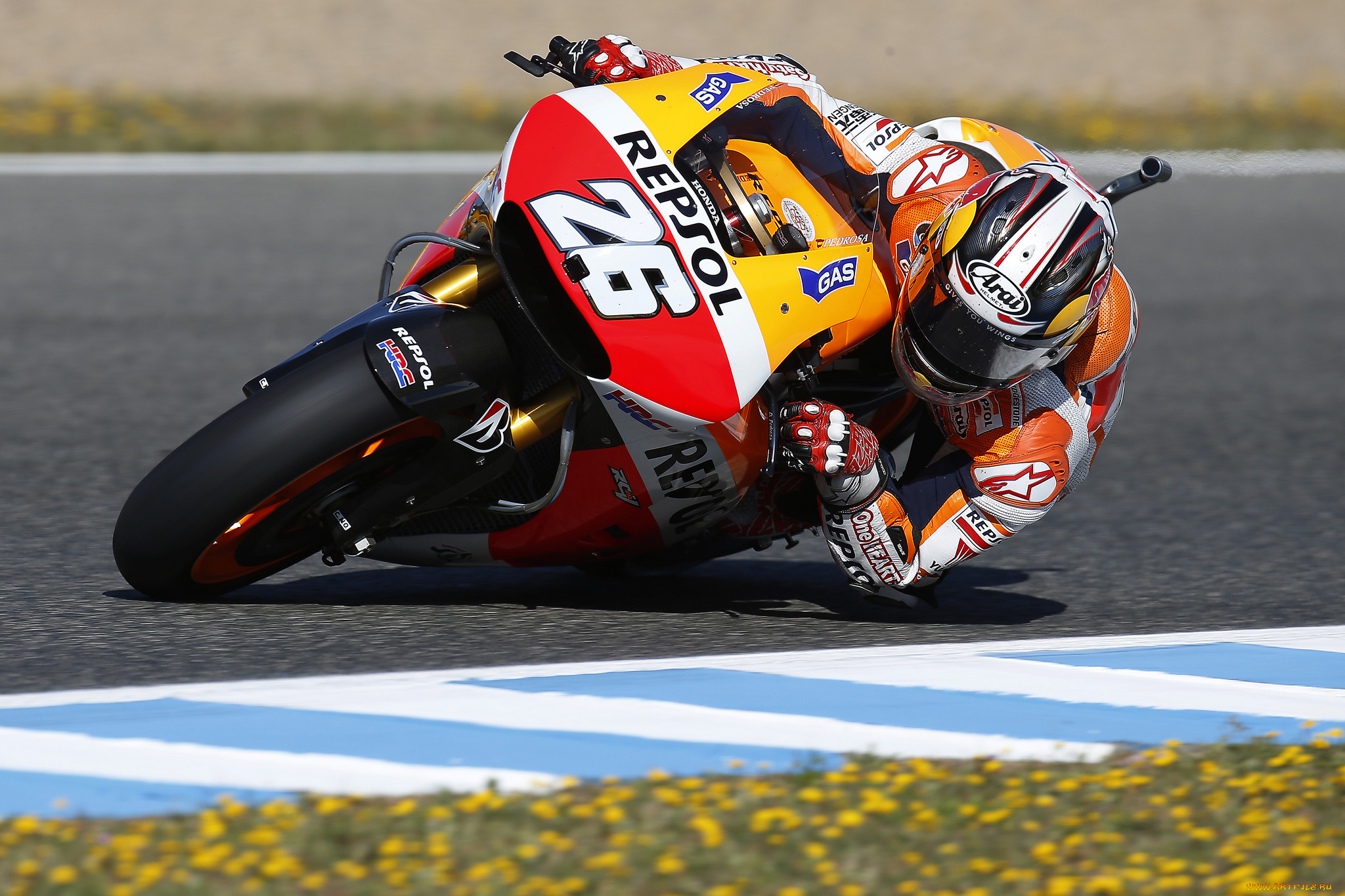 dani, pedrosa, спорт, мотоспорт, трек, гонщик, экипировка, вираж, байк