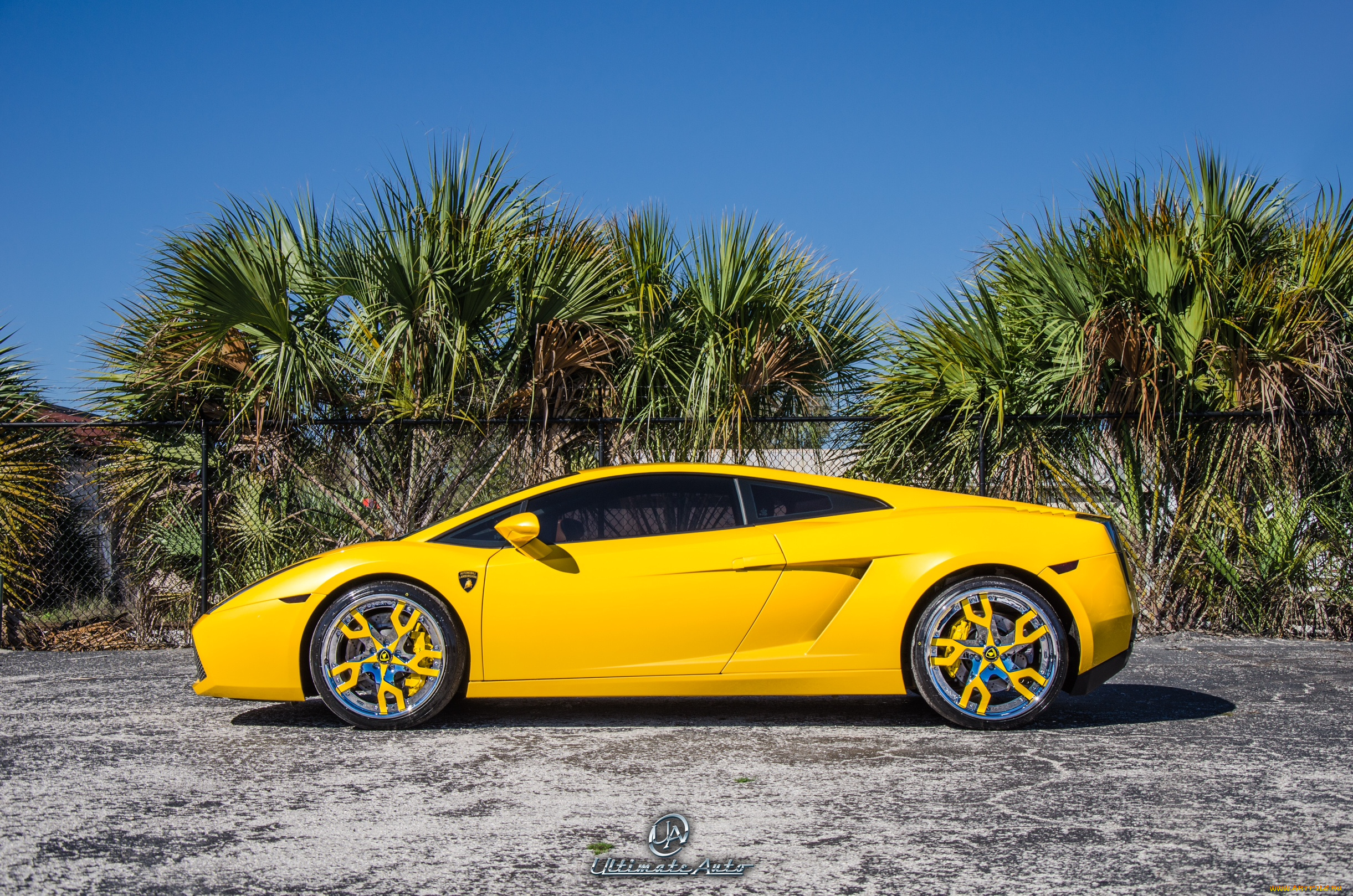 автомобили, lamborghini