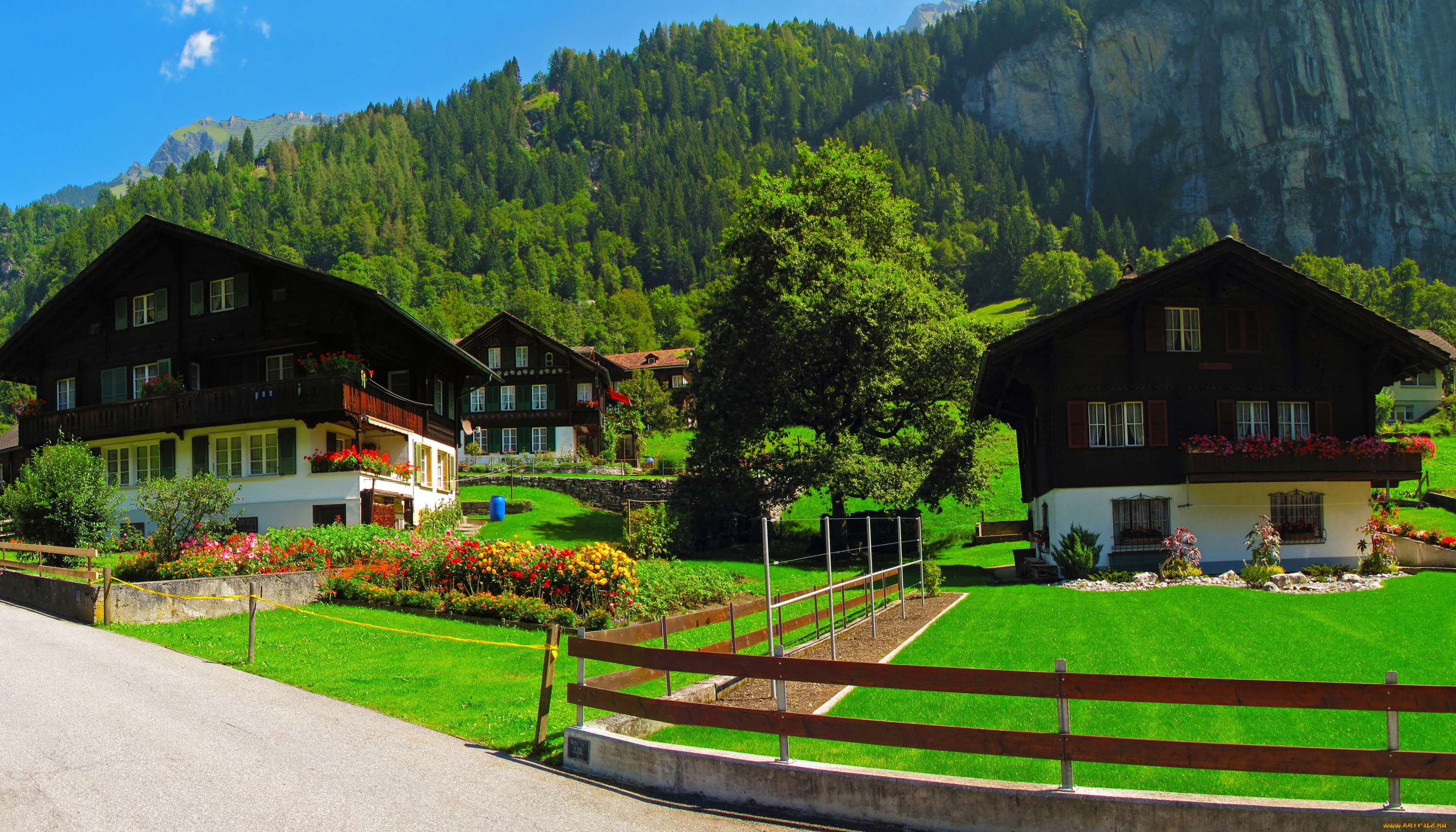 lauterbrunnen, , швейцария, города, -, улицы, , площади, , набережные, швейцария, трава, цветы, улица, дома