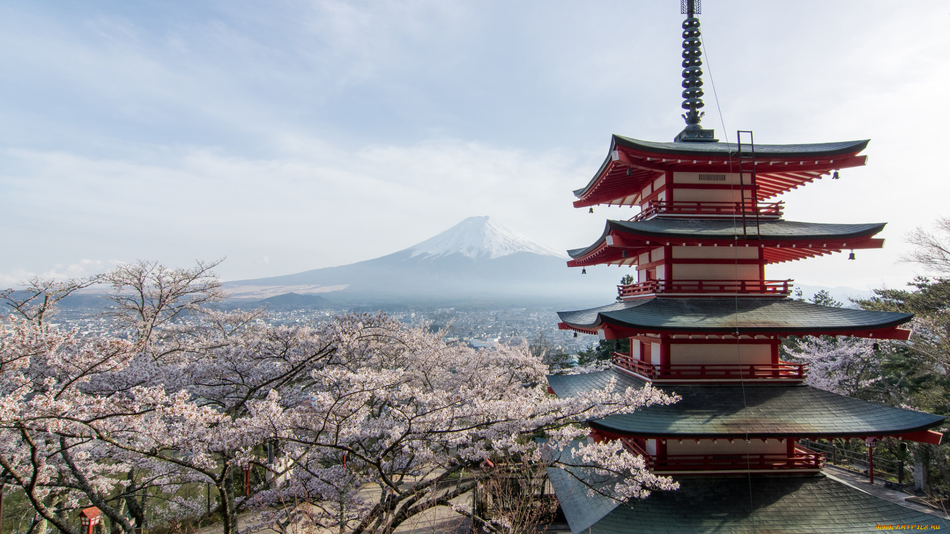 города, -, здания, , дома, деревья, цветы, пейзаж, крыша, здание, весна, ветки