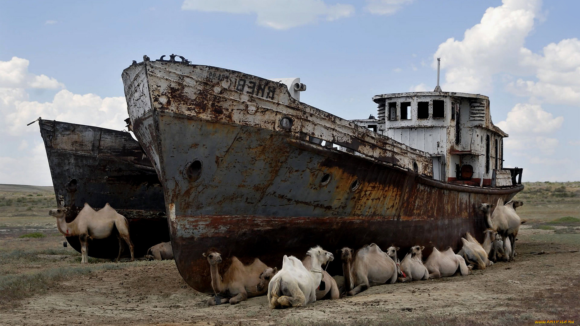 корабли, другое, camels