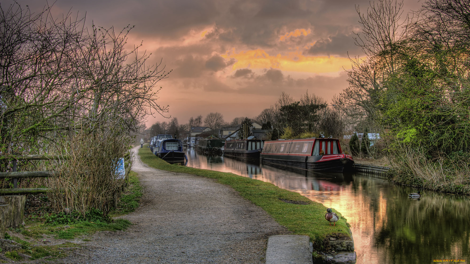 корабли, другое, река, баржа