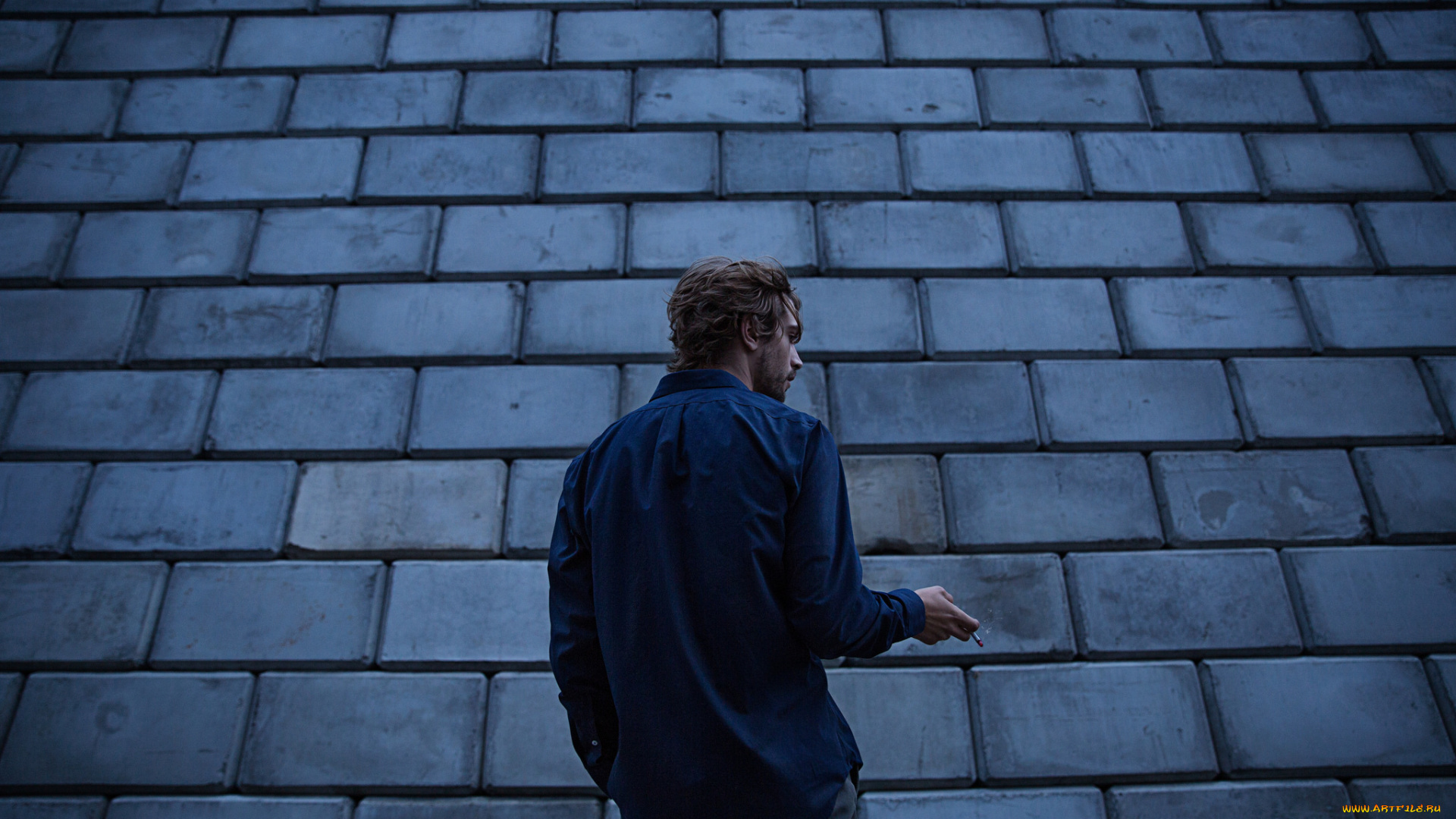 мужчины, -, unsort, парень, кирпичи, кладка, стена, рубашка