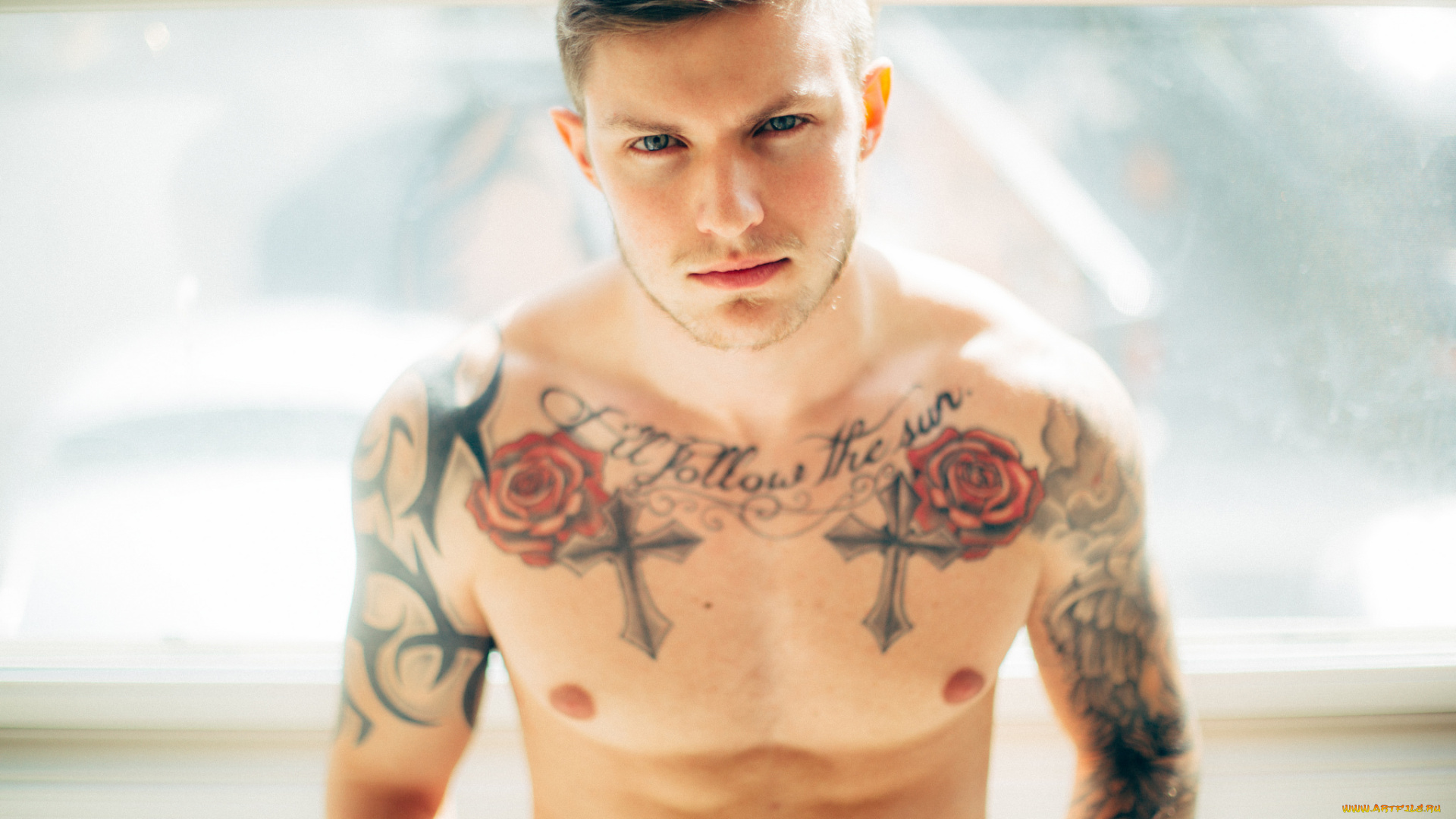 мужчины, -, unsort, татуировка, мужчина, тату, парень, пресс, взгляд, смотрит