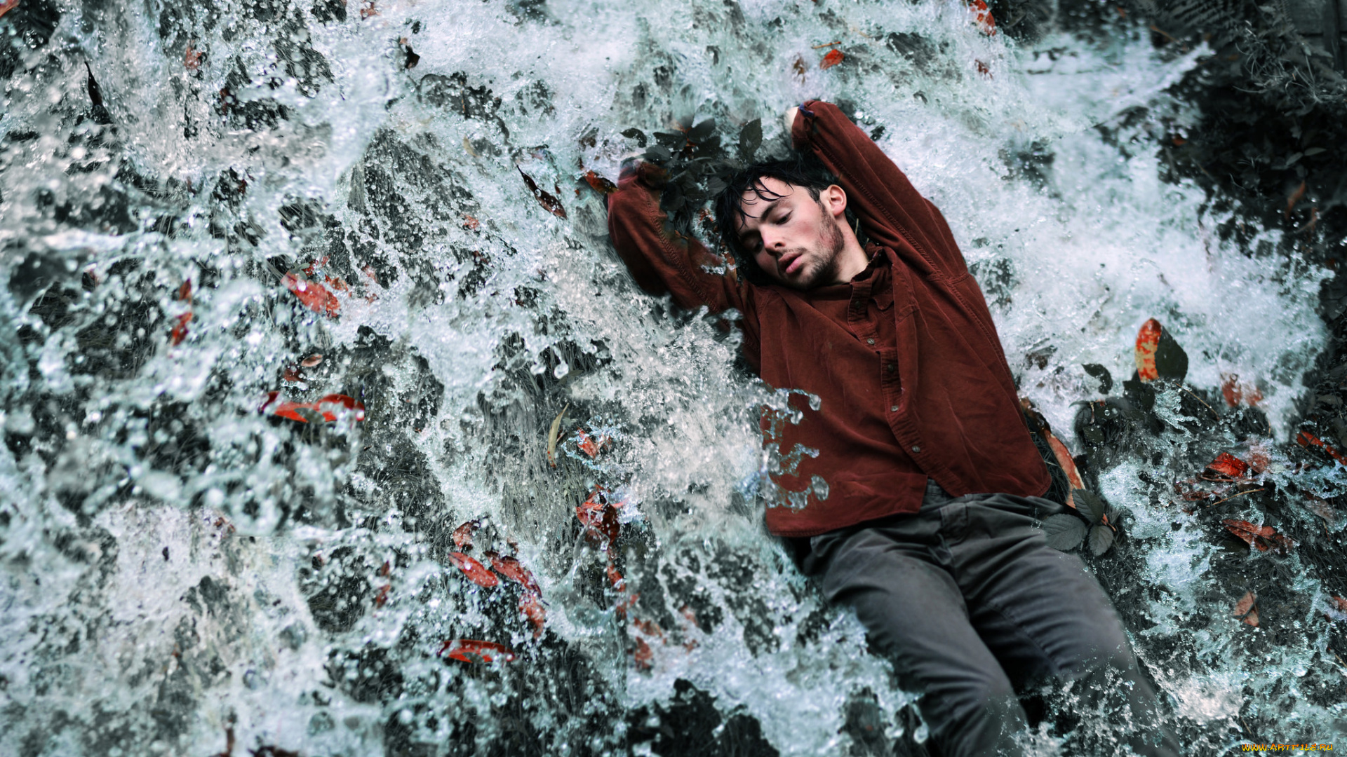 мужчины, -, unsort, вода, парень, листья, осень, поток