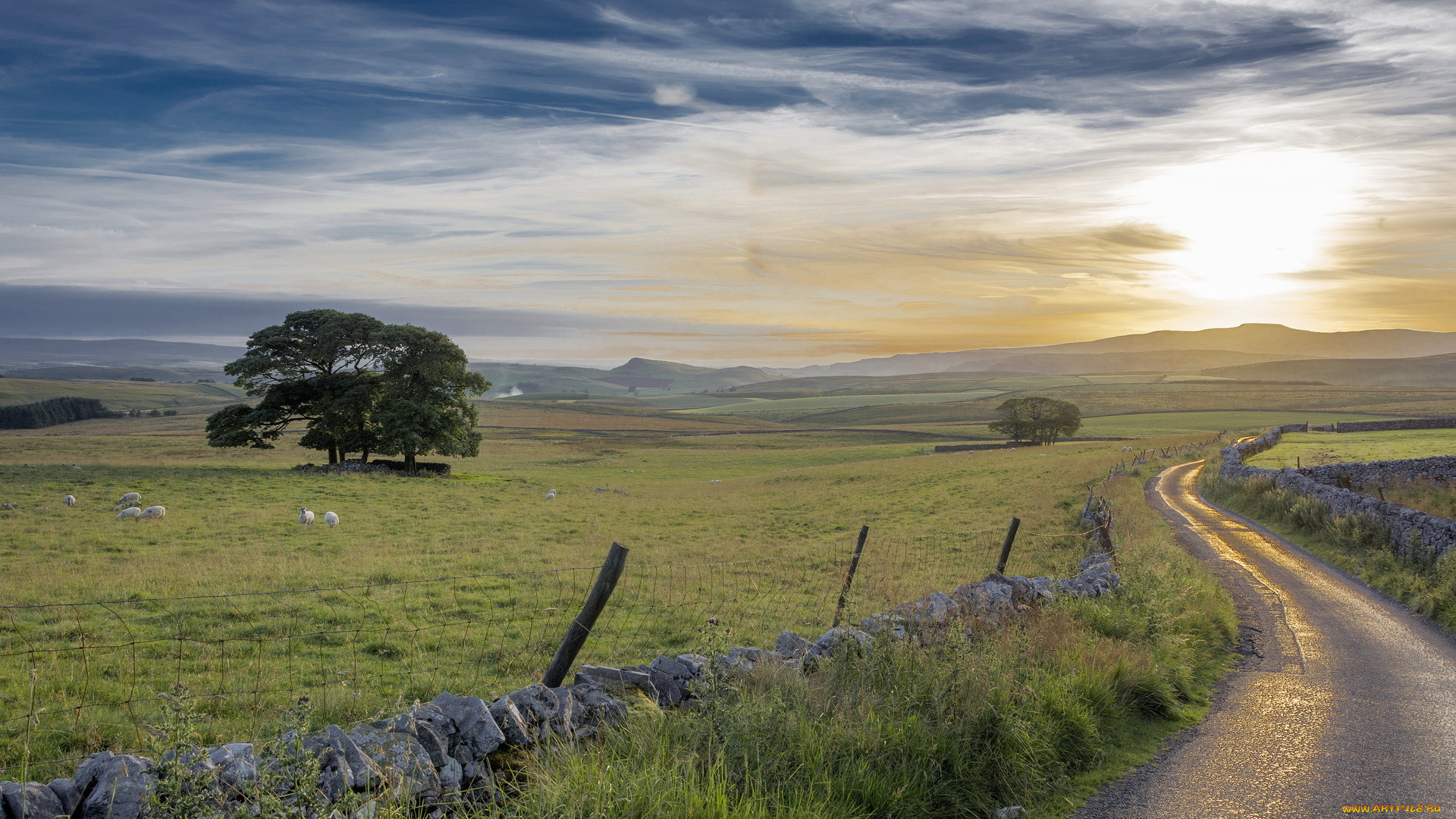 природа, дороги, пейзаж, забор, поле, утро