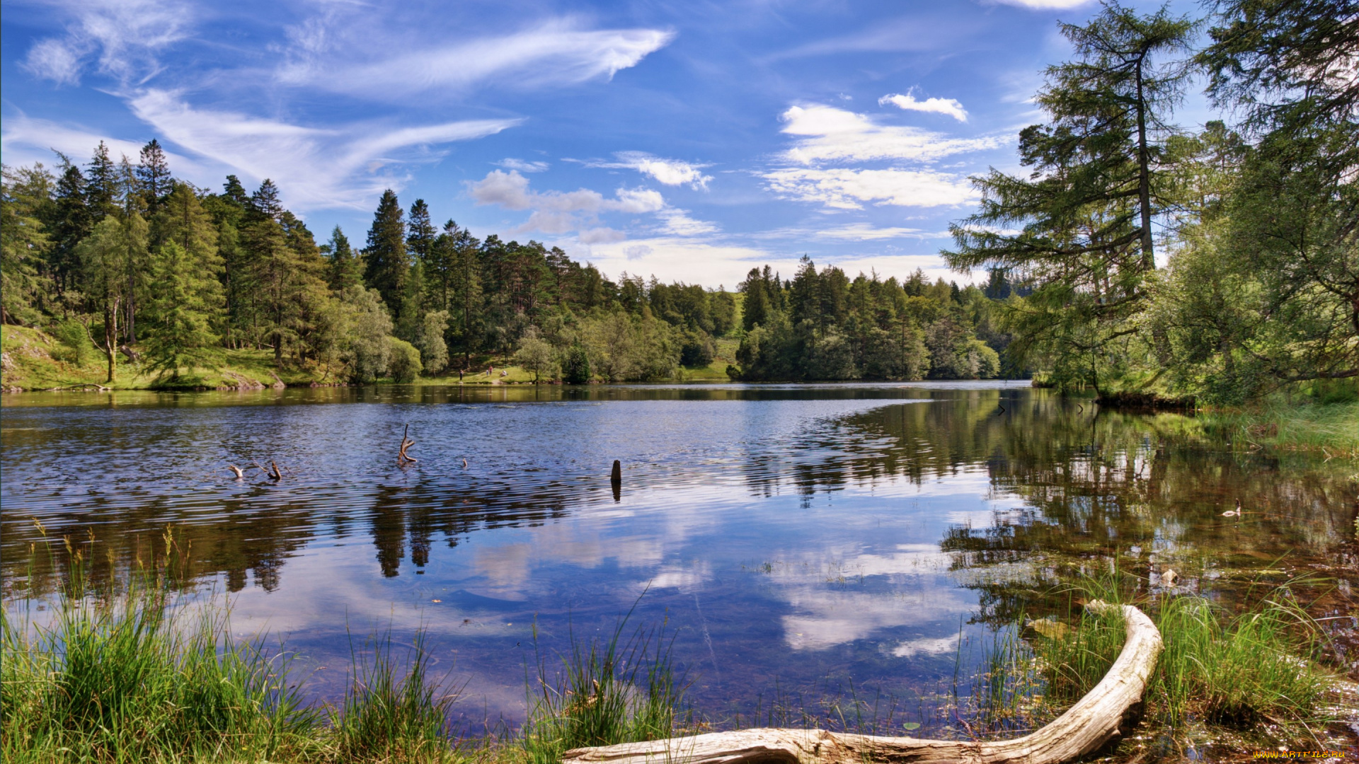 природа, реки, озера, камни, озеро, лес, горы