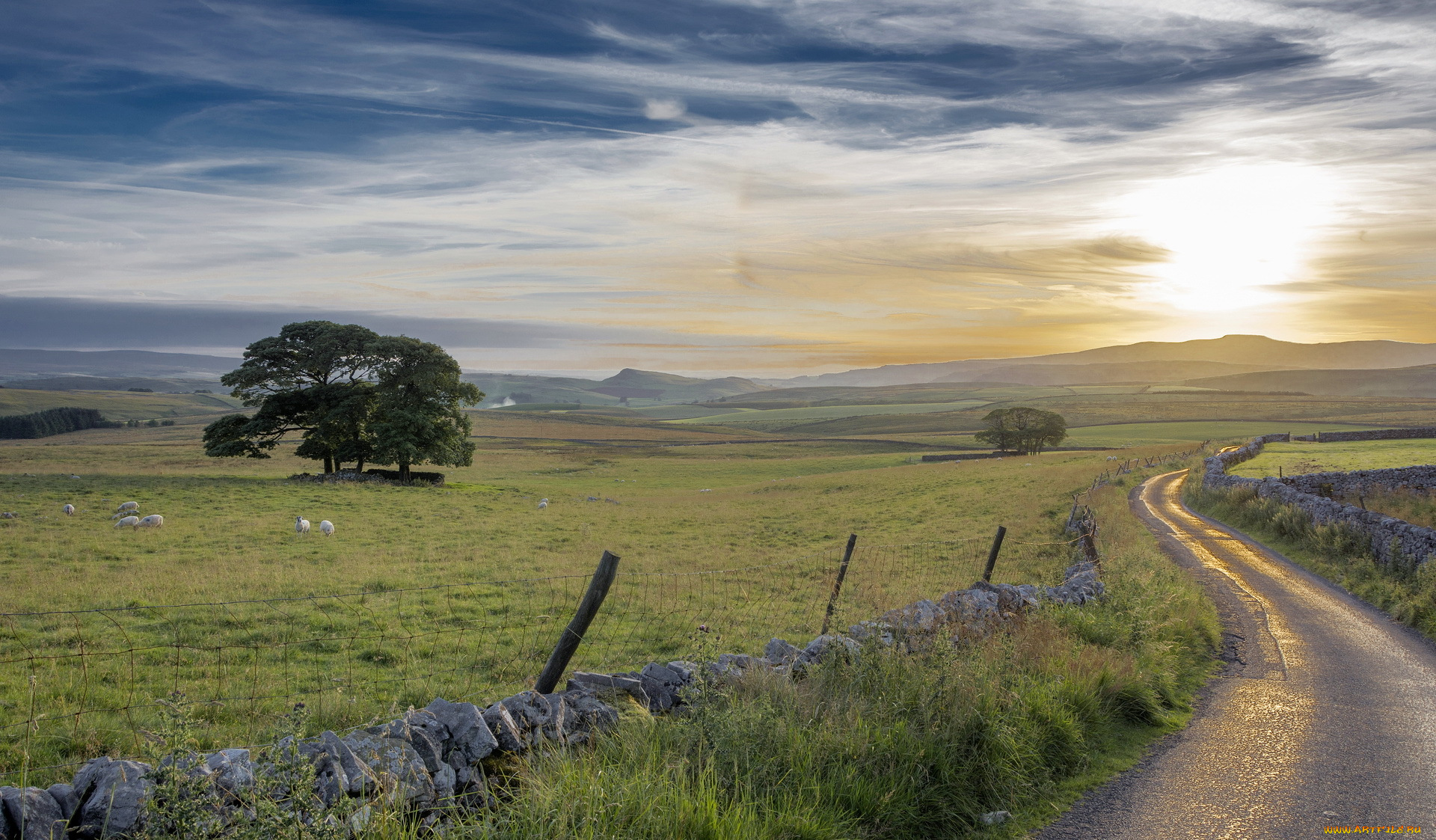 природа, дороги, пейзаж, забор, поле, утро