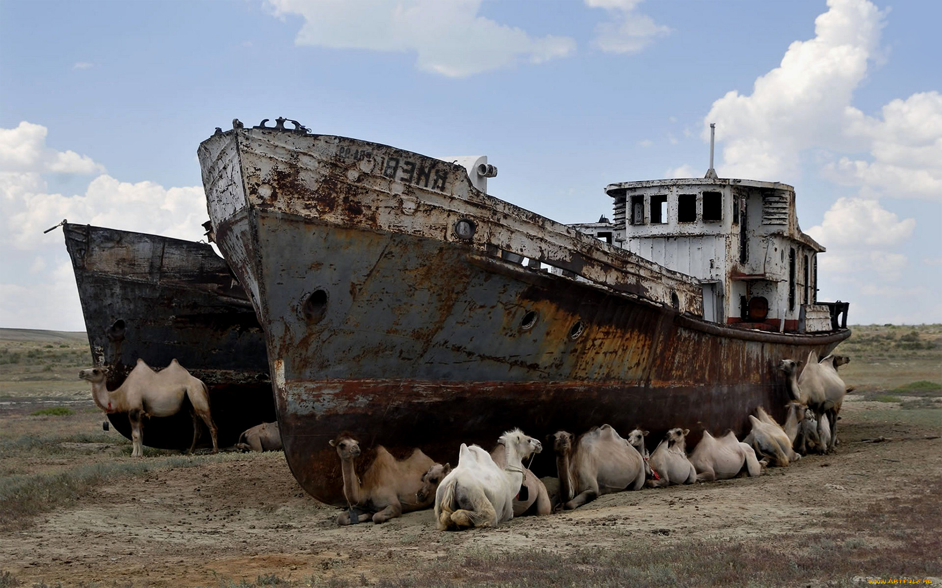 корабли, другое, camels