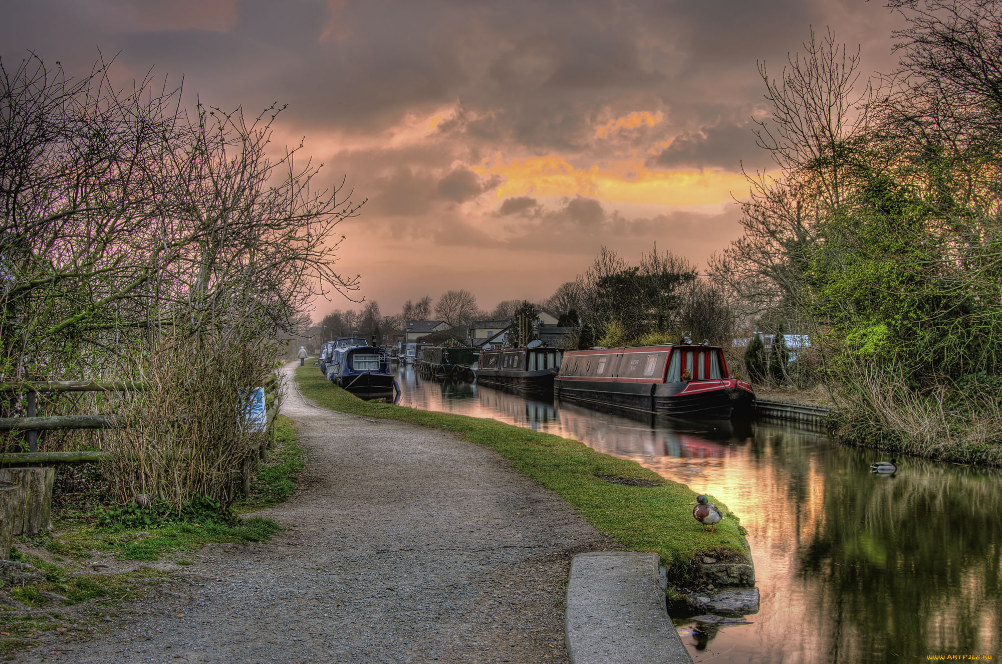 корабли, другое, река, баржа