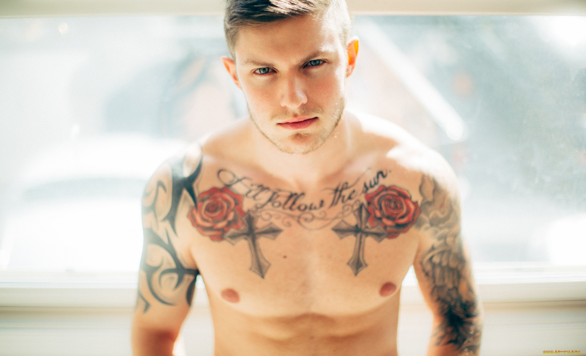 мужчины, -, unsort, татуировка, мужчина, тату, парень, пресс, взгляд, смотрит