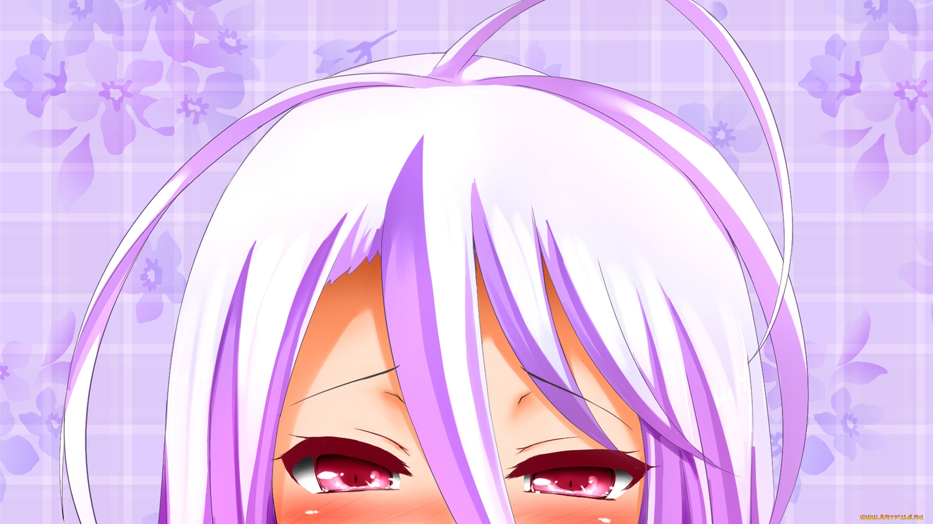 аниме, no, game, no, life, девушка, фон, взгляд