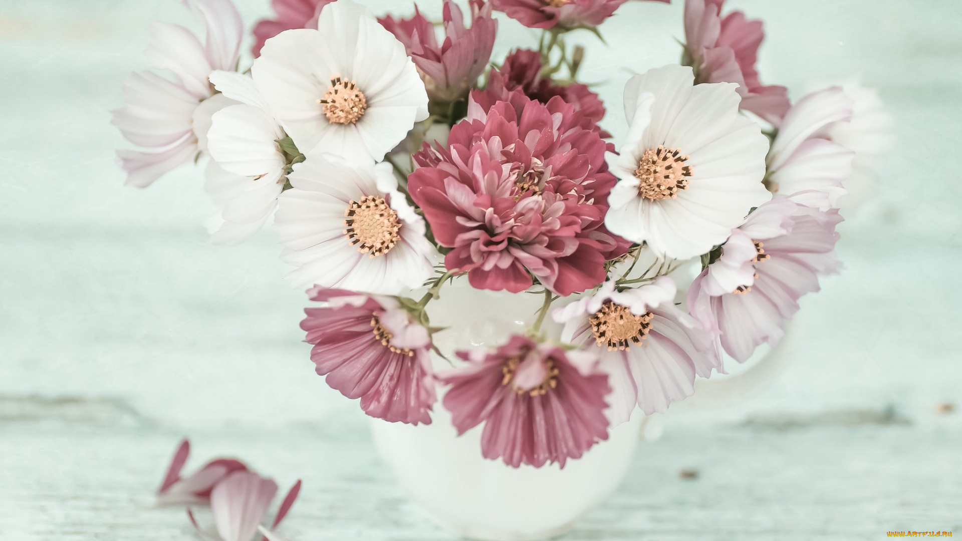 цветы, букеты, , композиции, космея, букетик, хризантема, лепестки