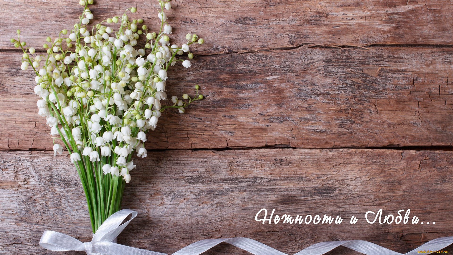 цветы, ландыши, букет, надпись, белые, лента